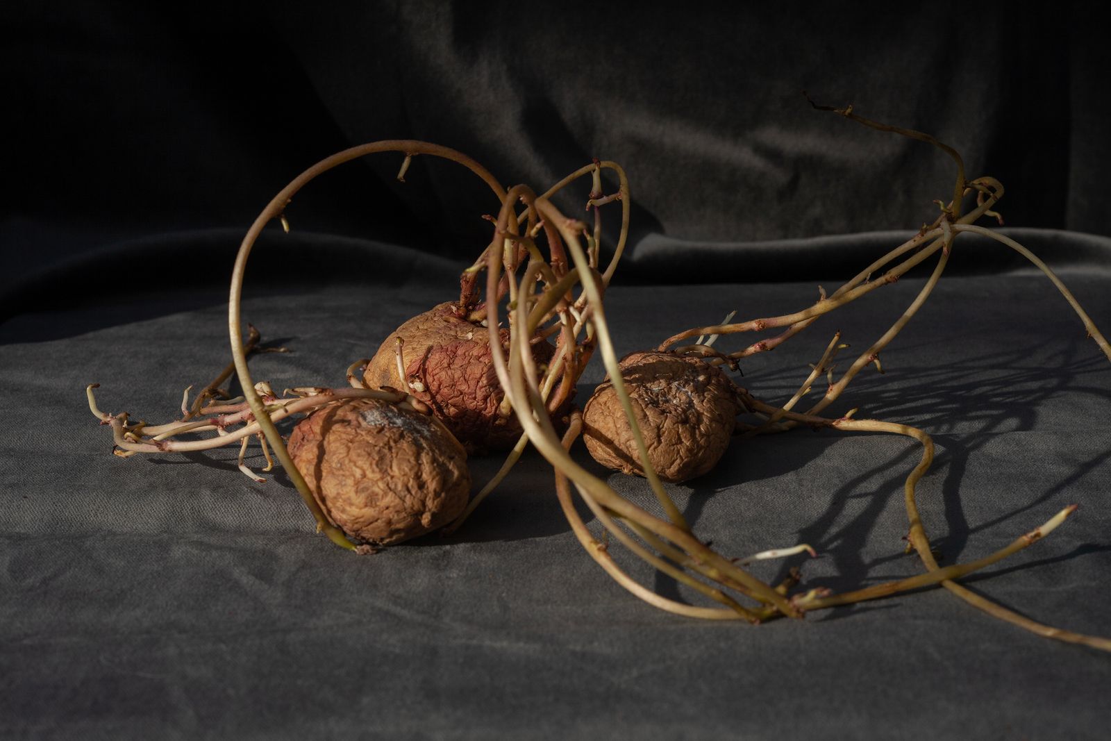 © Heather McDonough - Image from the French Folds photography project