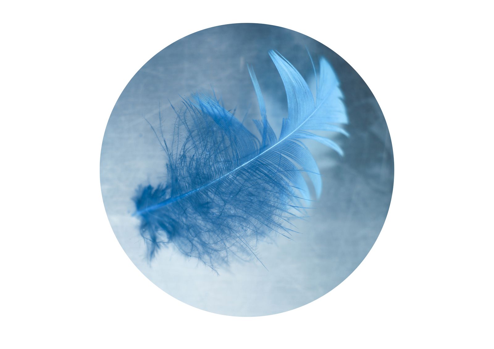 © Heather McDonough - Image from the Surface Tension (In Blue & White) photography project