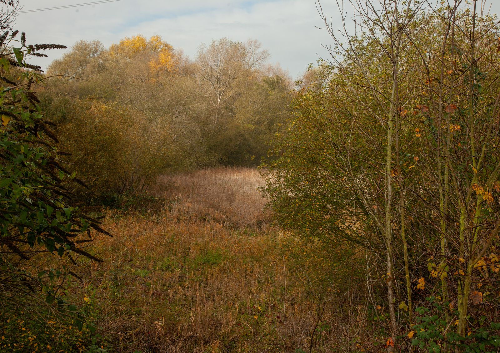 © Heather McDonough - Image from the Caught in Between photography project