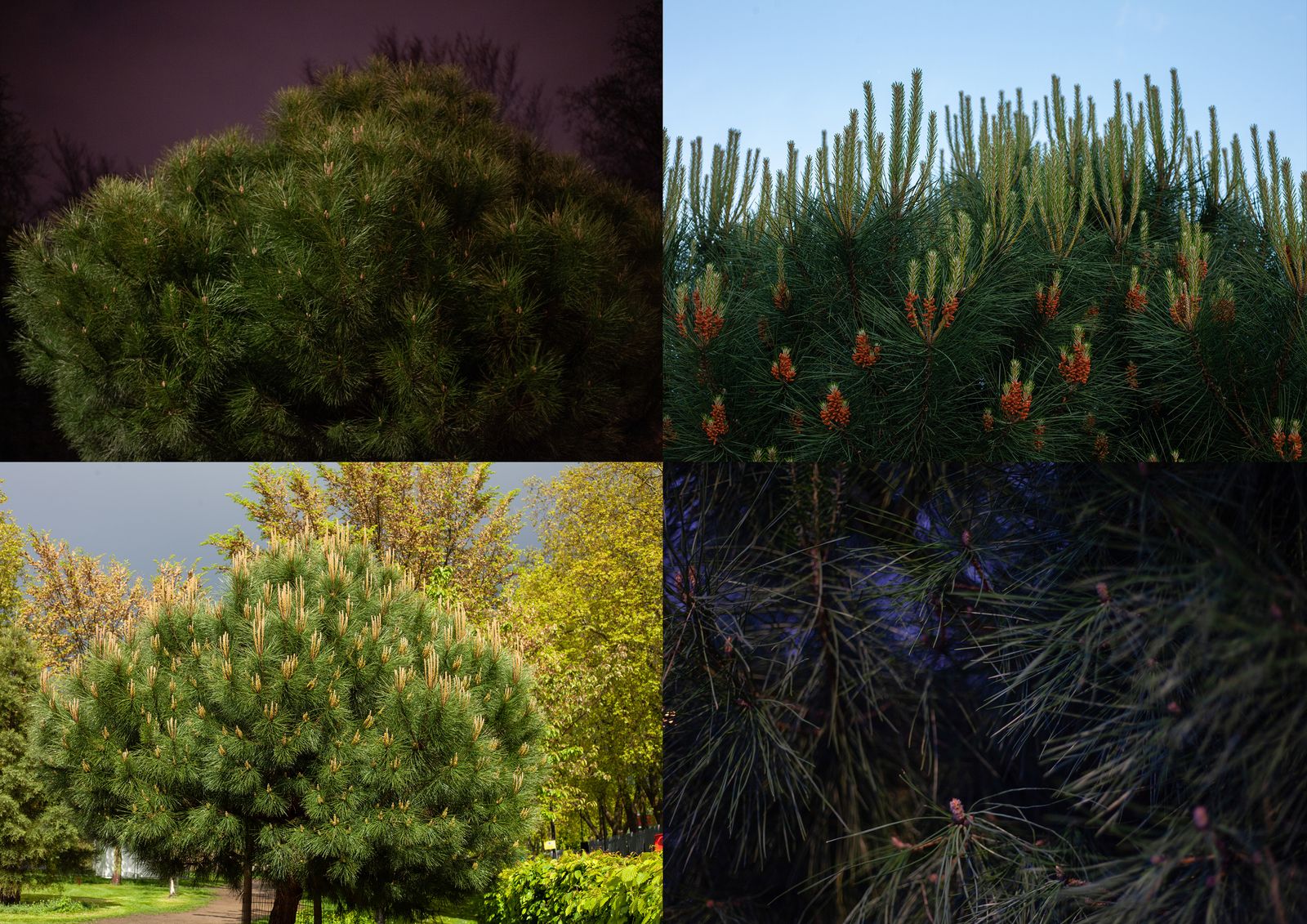 © Heather McDonough - Image from the Caught in Between photography project