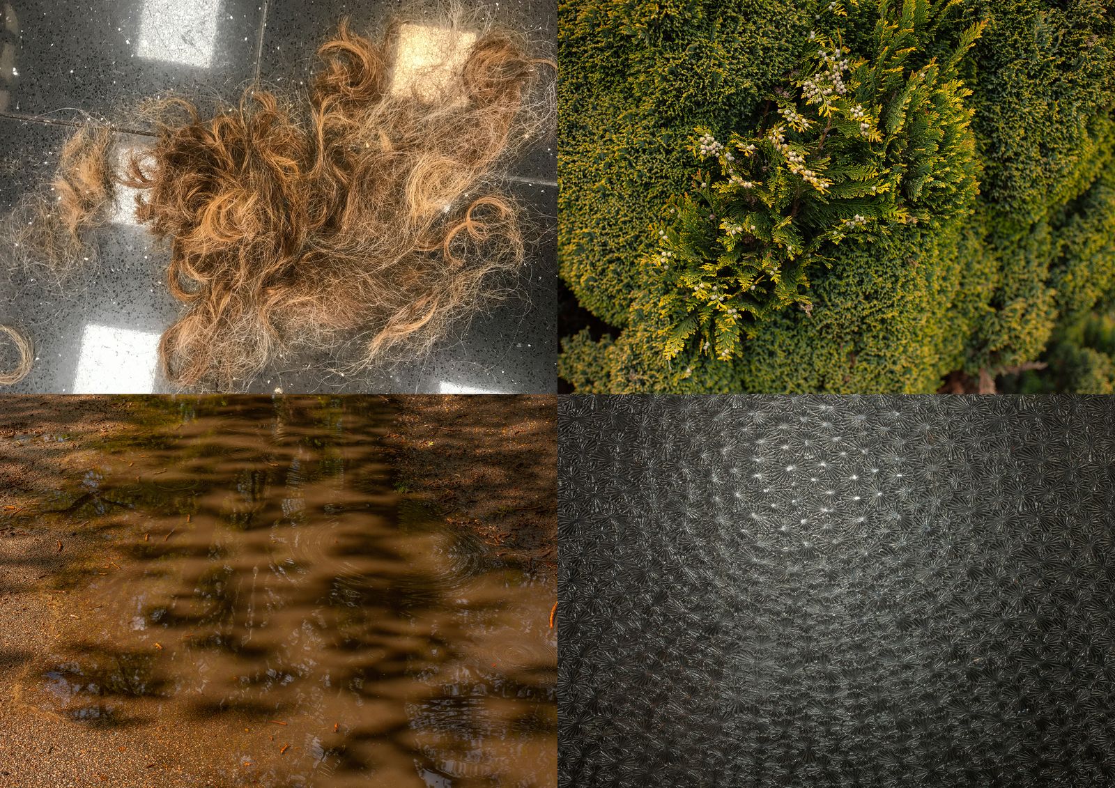 © Heather McDonough - Image from the Caught in Between photography project