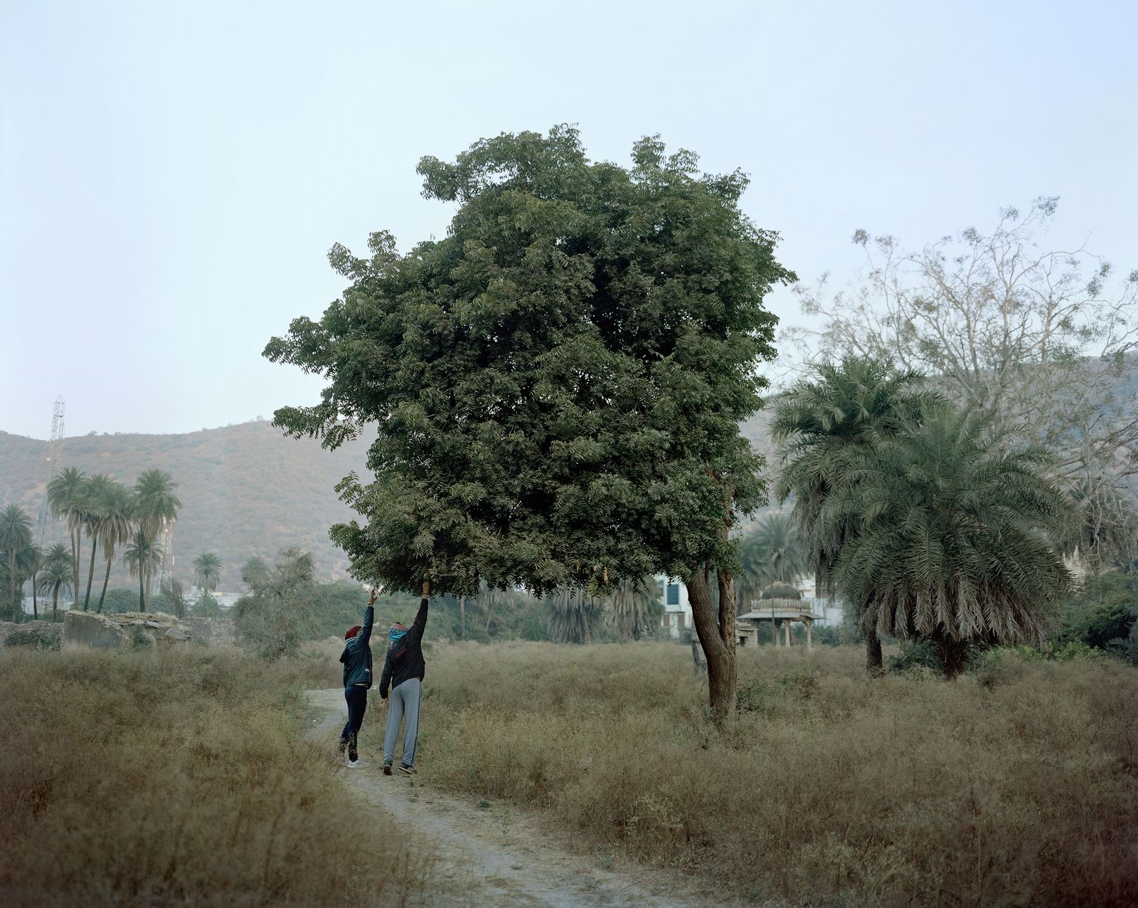 © Balazs Turos - Image from the The Nature of Things photography project