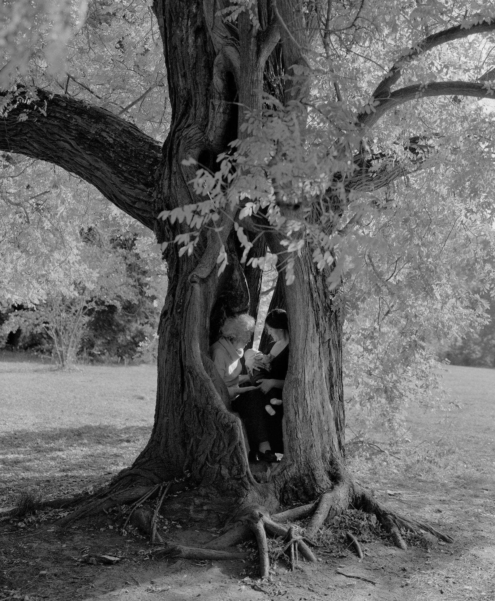 © Balazs Turos - Image from the The Nature of Things photography project
