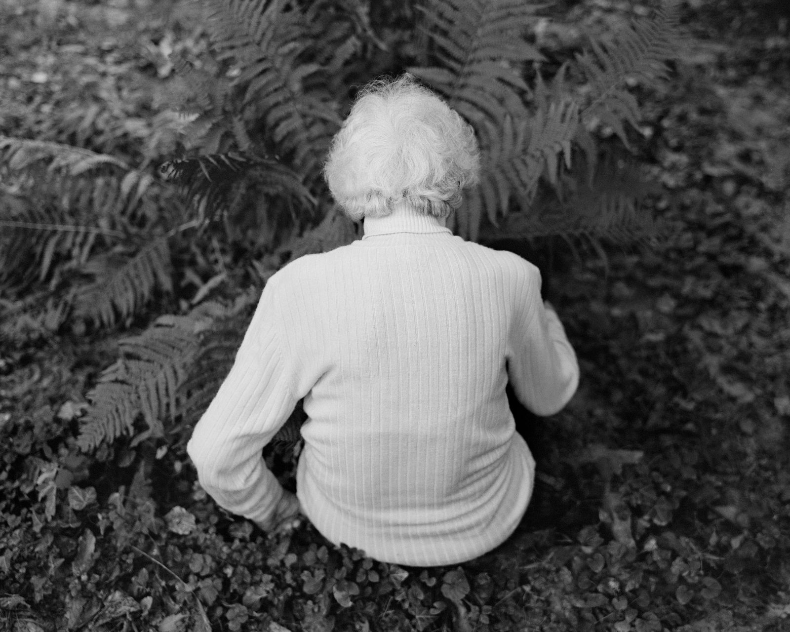 © Balazs Turos - Image from the The Nature of Things photography project