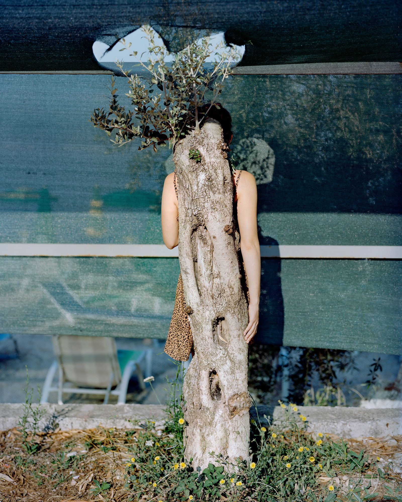© Balazs Turos - Image from the The Nature of Things photography project