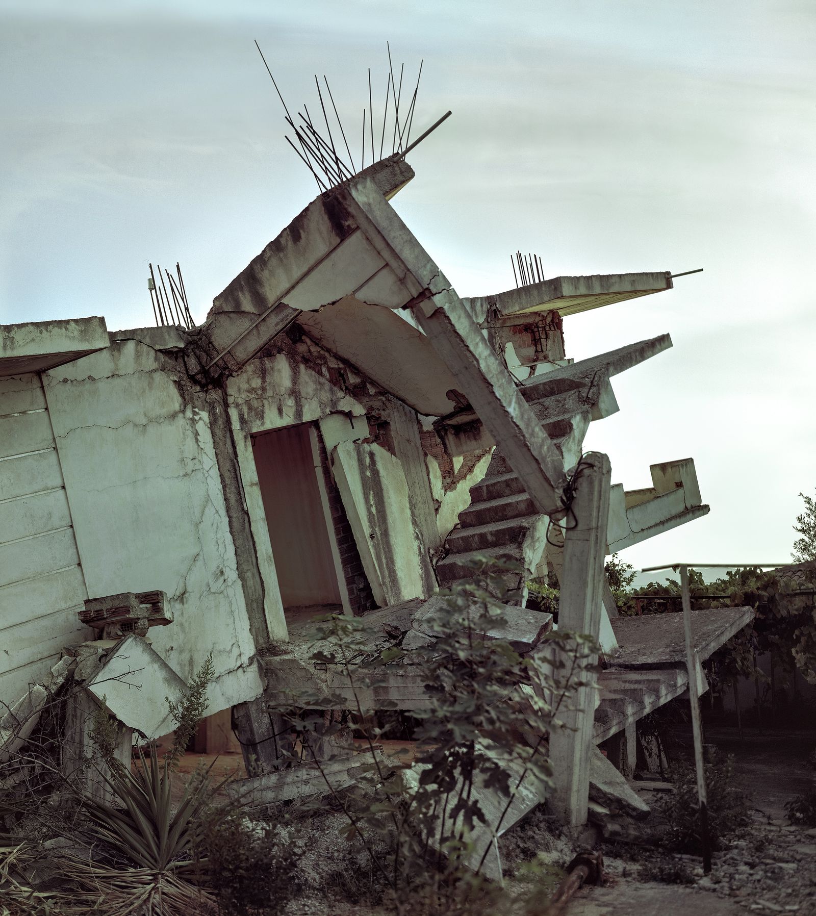 © Balazs Turos - Image from the The Nature of Things photography project