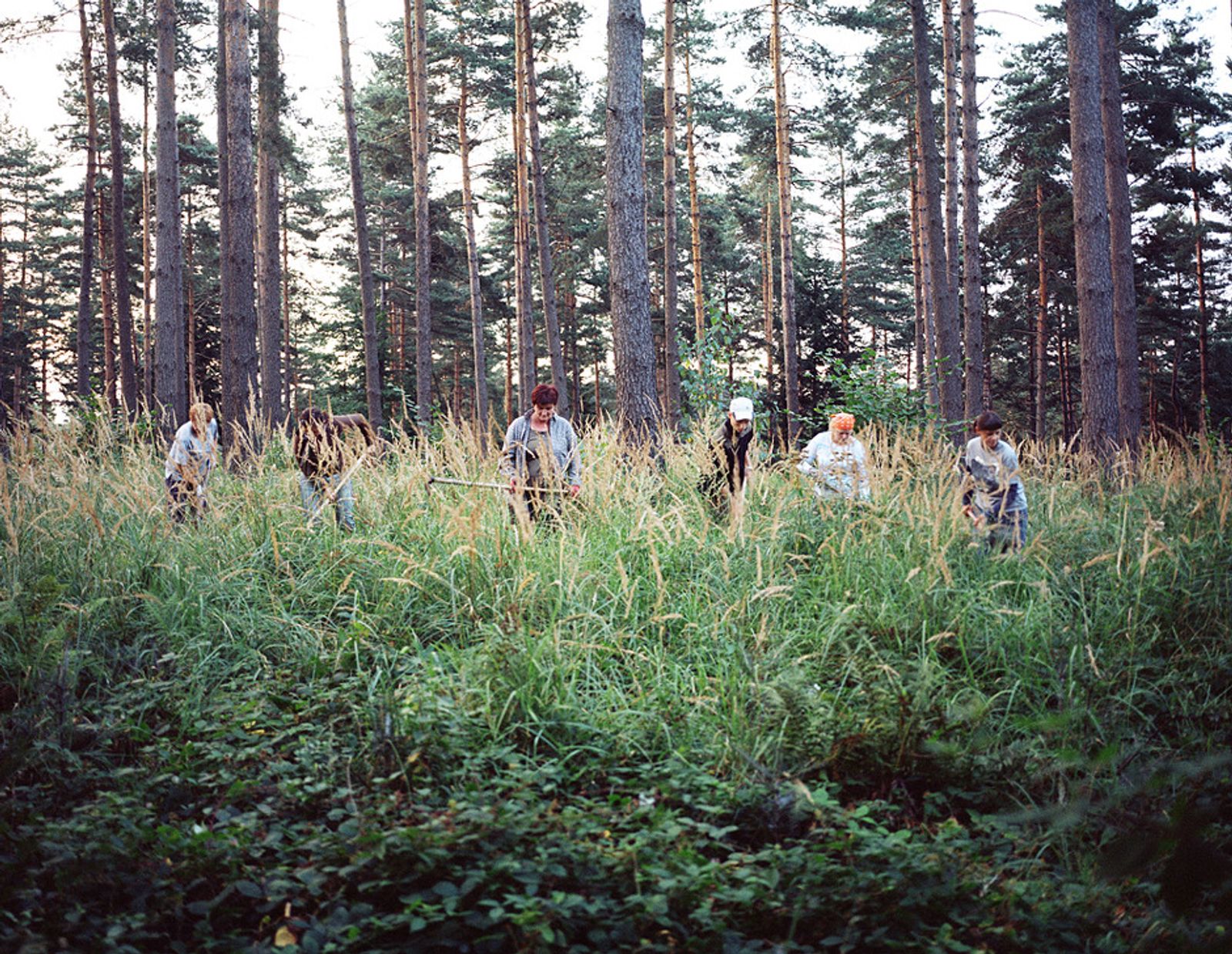 Forest People - PhMuseum