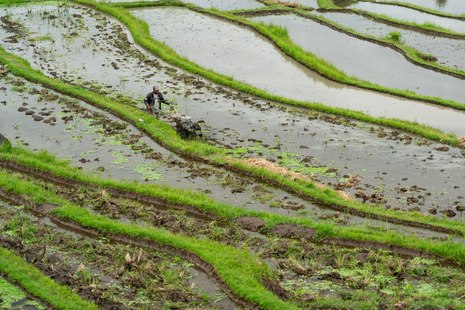 © Simone Campedelli - Image from the The Soul of Indonesia: A Visual Journey photography project
