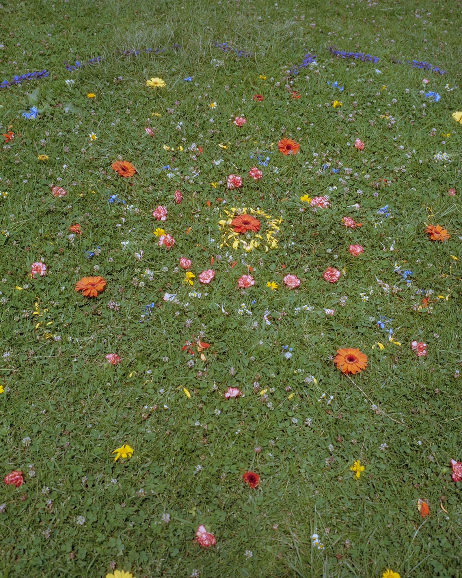 © Alan Nakkash - Image from the Notes From The Field (New Edit) photography project