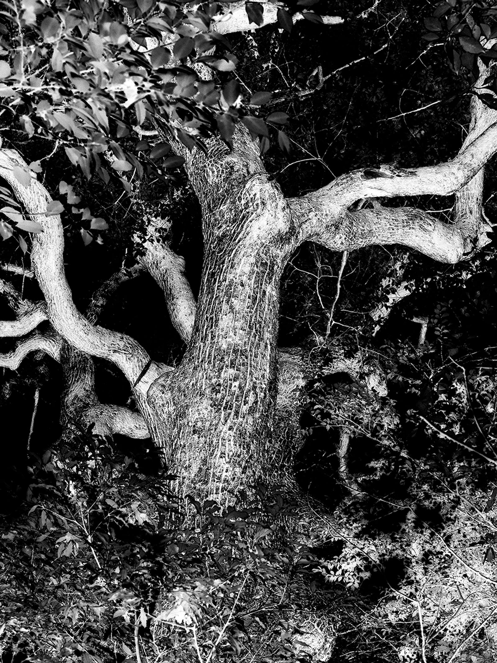 © Łukasz Rusznica - untitled
