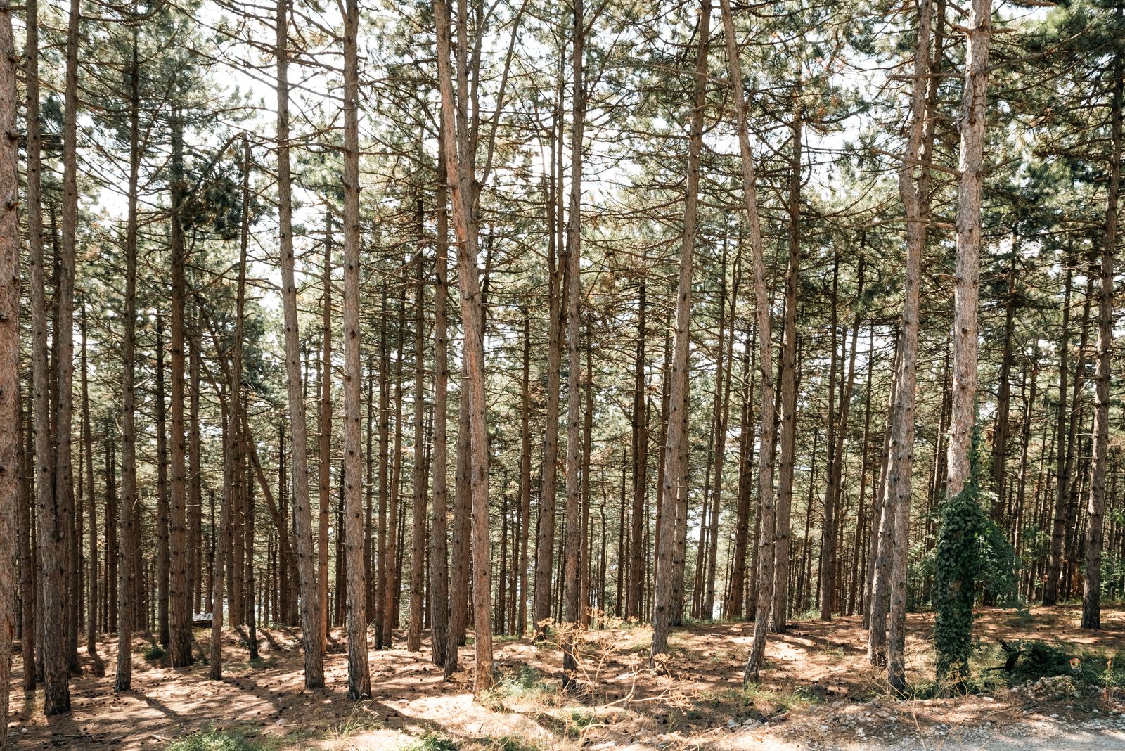 © Kate O Malley - Image from the The Last Days Of Summer. Ohrid photography project