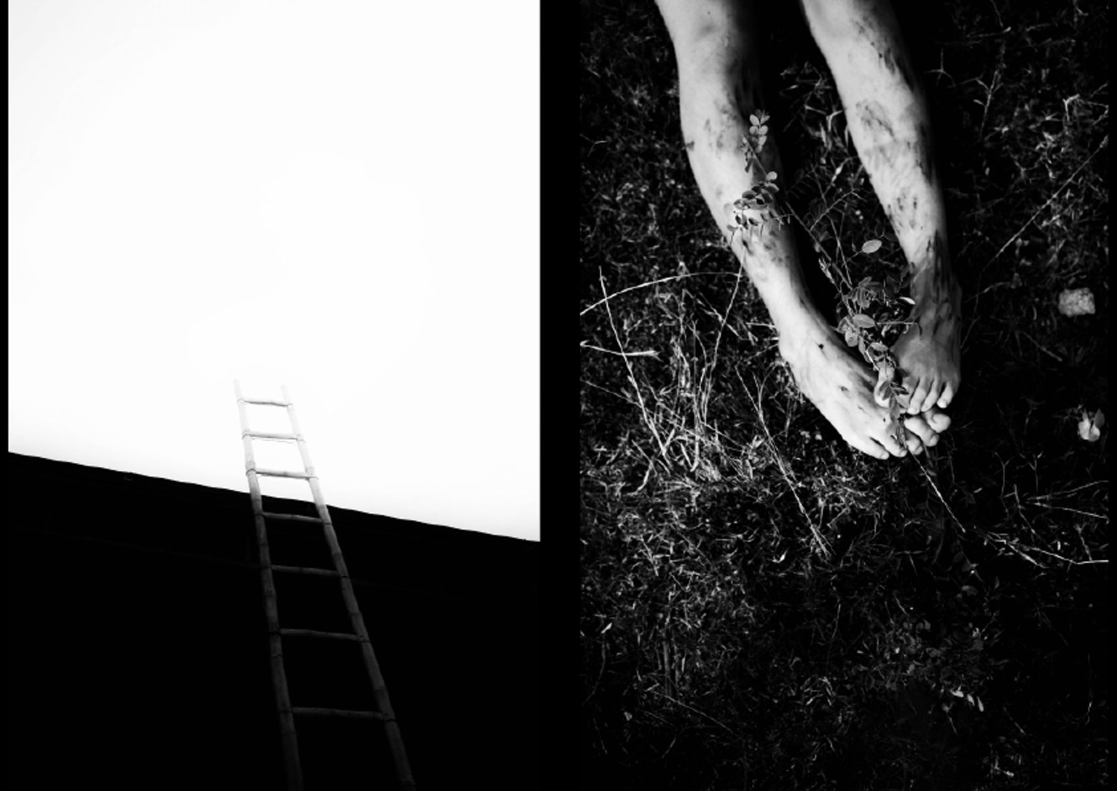 © Mien-Thuy Tran - Image from the Rootless photography project