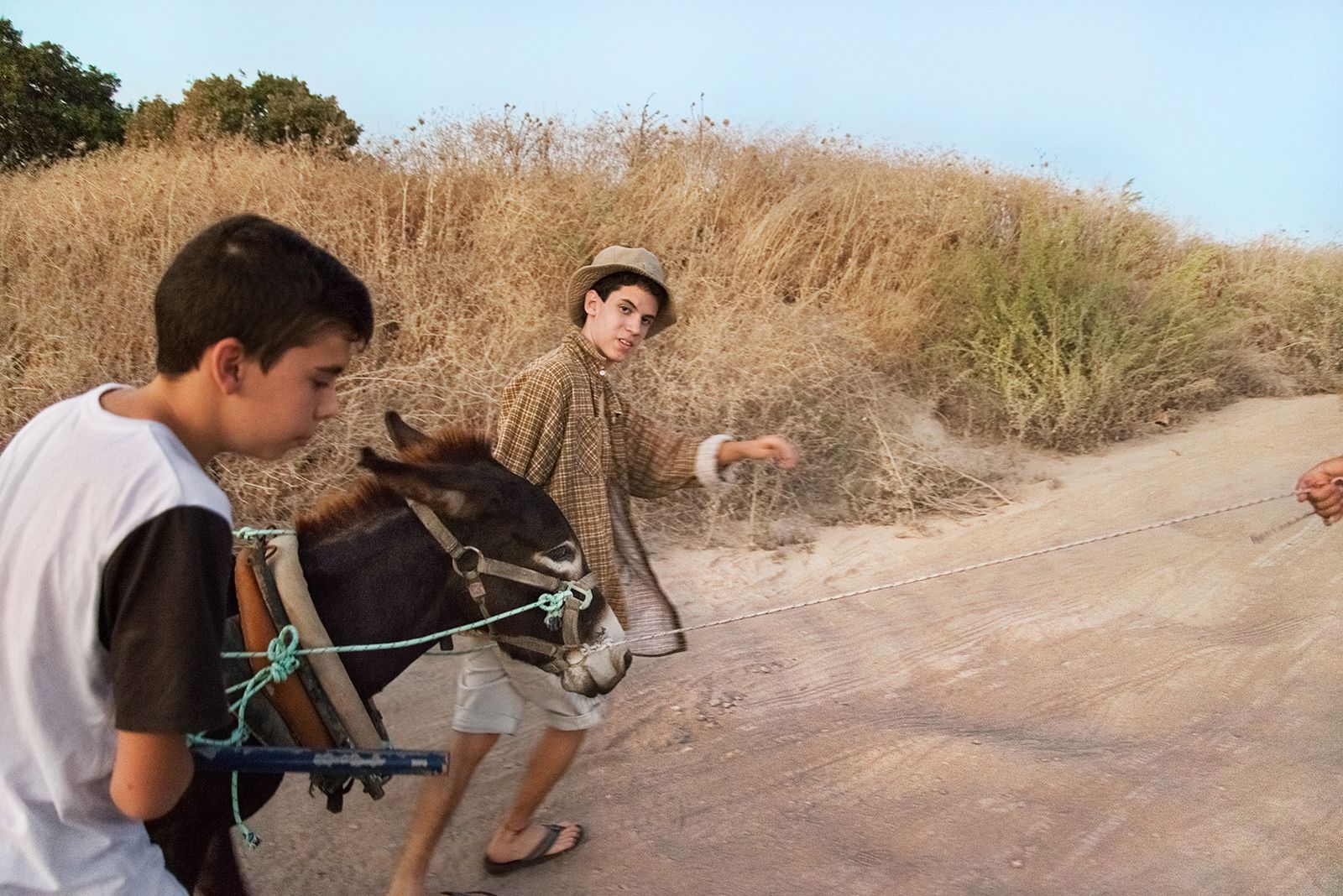 © Daniel Rolider - Amit (c.) and his friend Omer, walking our donkey uphill to Zaid's Hills, Kiryat Tivon, Israel, October 2016.
