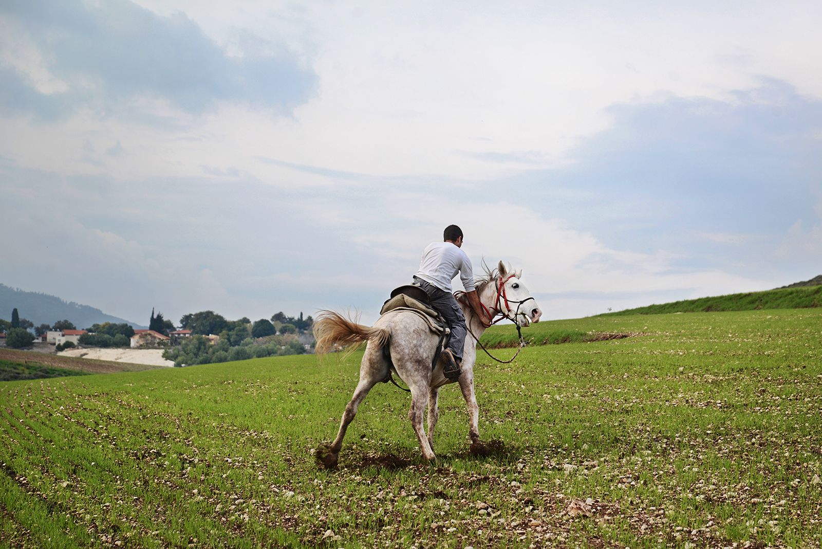 © Daniel Rolider - Rami rides his horse in the fields of Kiryat Tivon, Israel, November 2014.