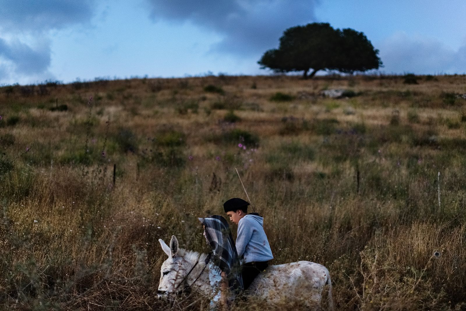 © Daniel Rolider - Uriya (l.) and his friend Erez, travels in the fields of Kiryat Tivon at sunset, Israel, May 2016.