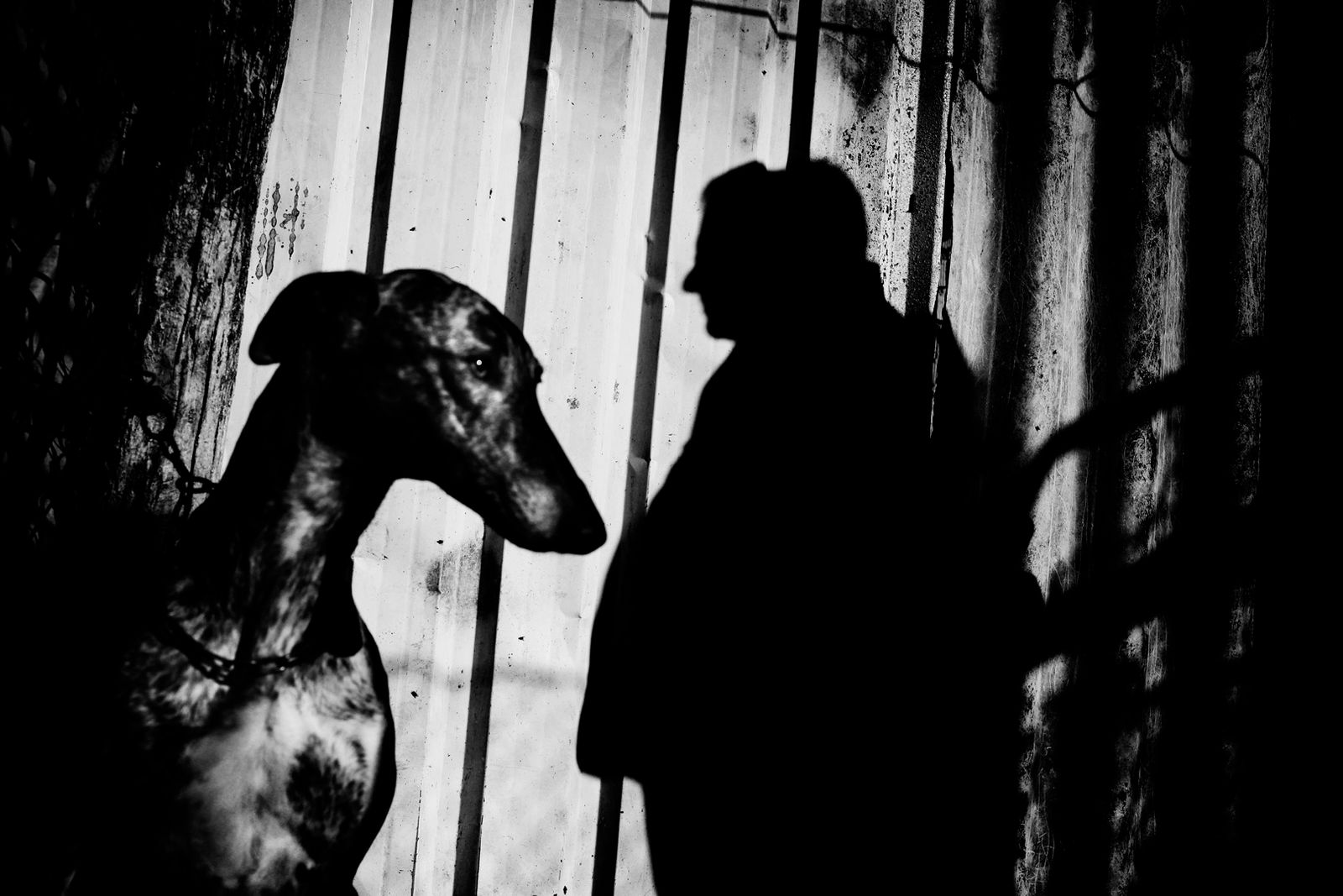 © Antonio González Caro - Image from the hunting shadows photography project