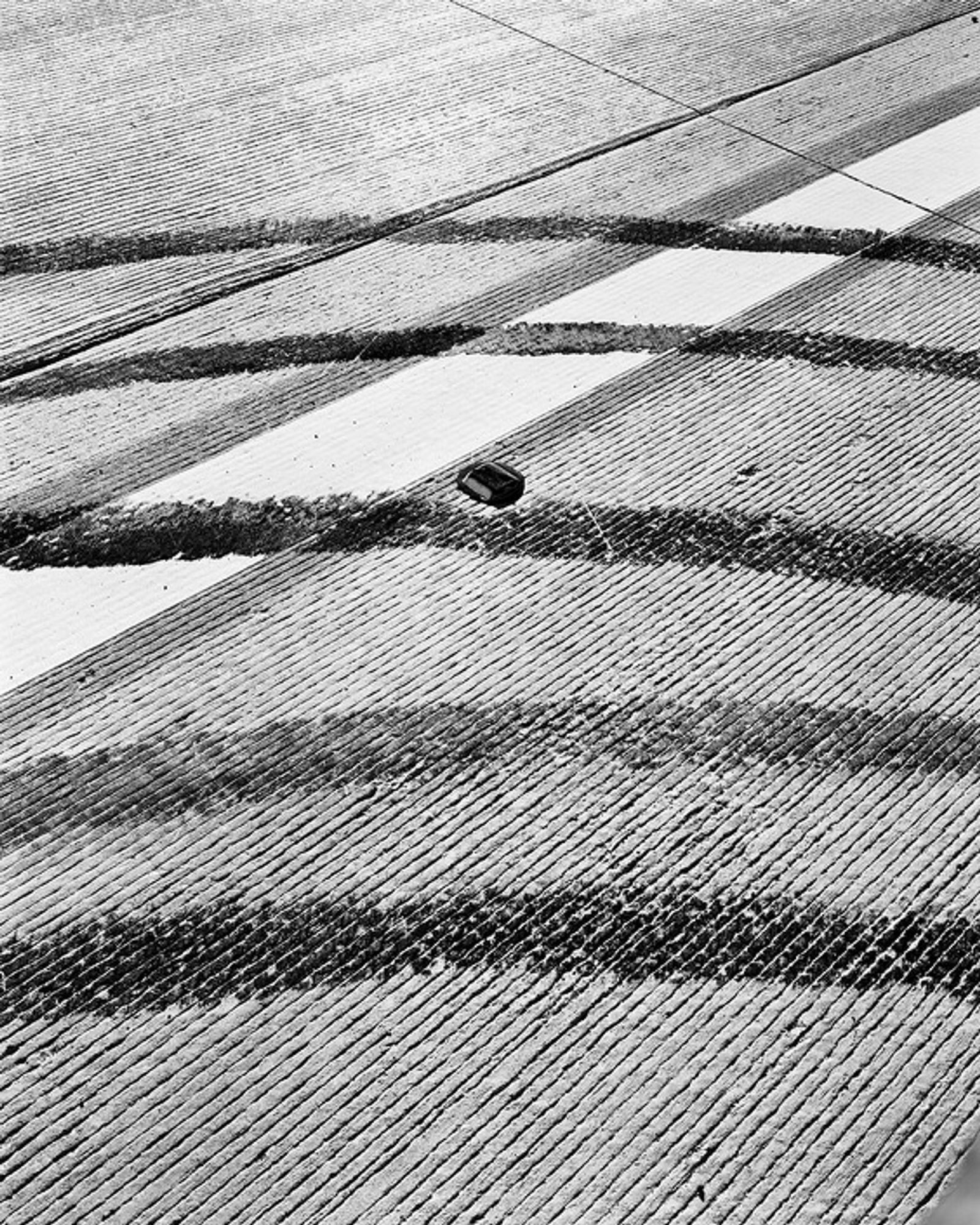 © Thomas Locke Hobbs - Image from the I know at a glance photography project