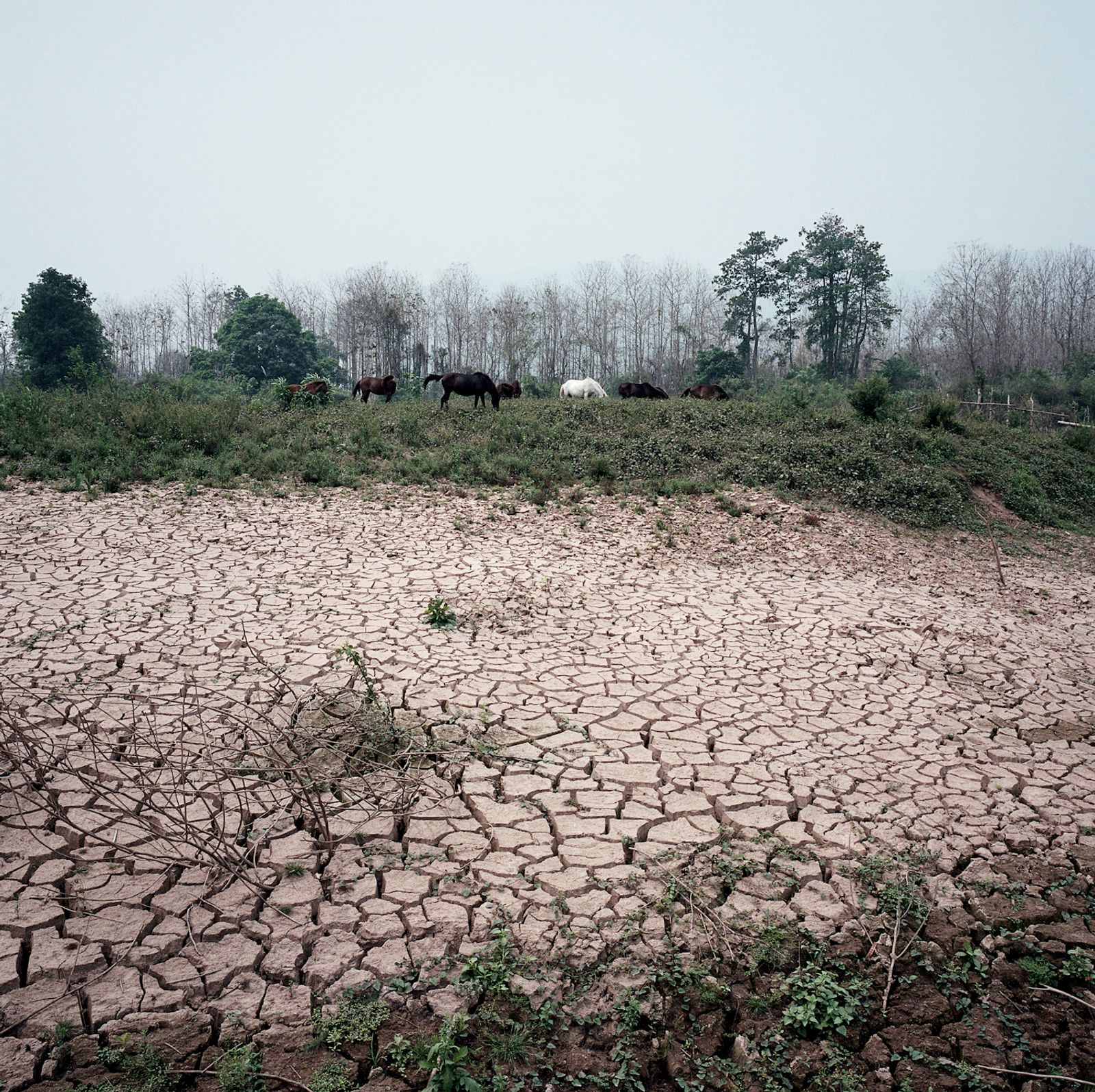 © Huiying Ore - Image from the Mekong, The mother of rivers photography project