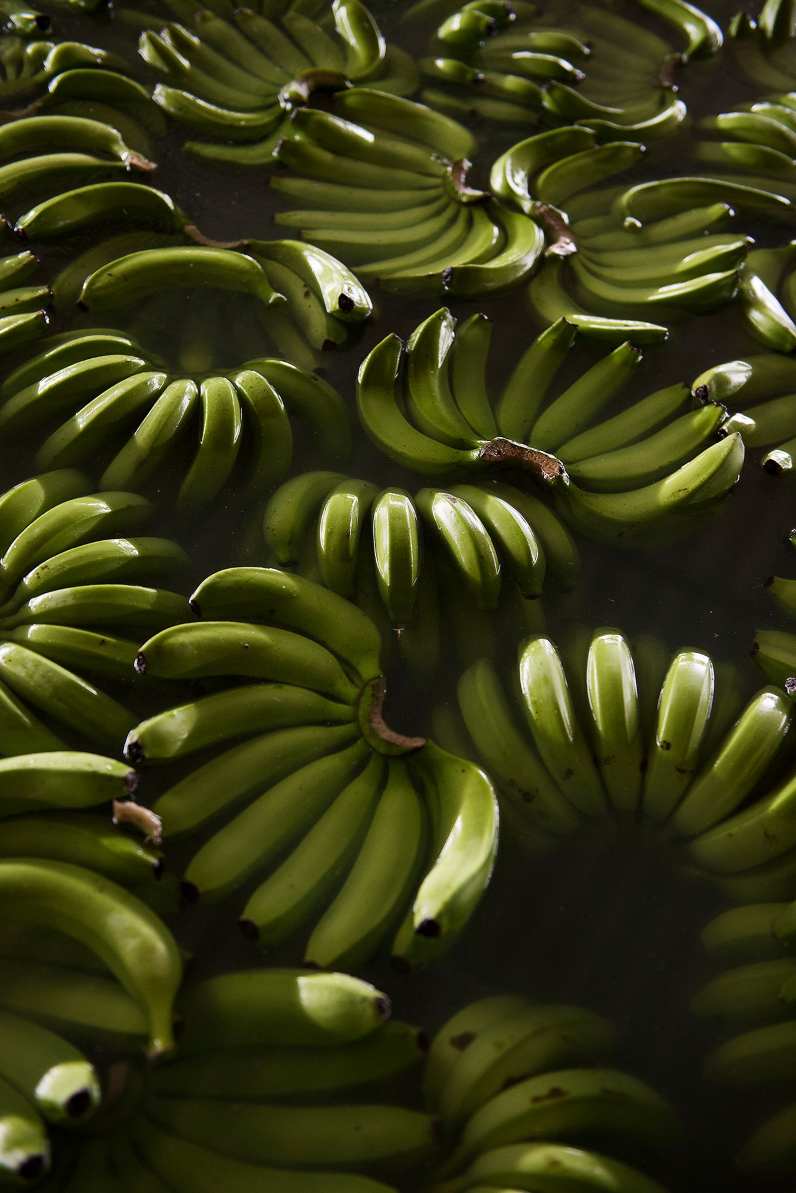 © Niké Dolman - Floating bananas, 2018