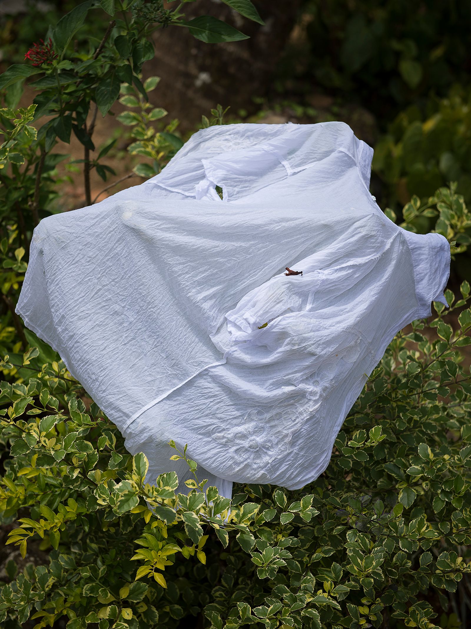 © Niké Dolman - Laundry in nature is the only way, 2018