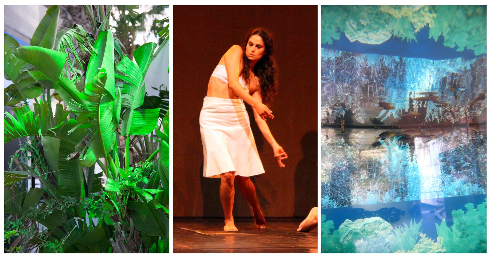 © Gloria Oyarzabal - Image from the APPUNTI PER UN'ORESTADE AFRICANA - a democracy in fatigue photography project