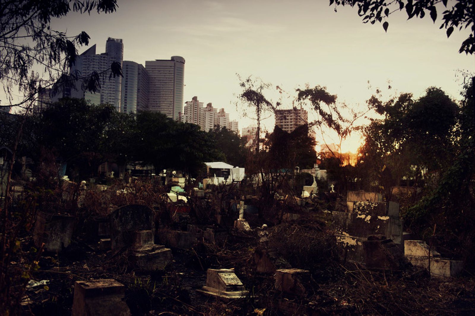 © Grzegorz Wełnicki - Image from the Eli, Eli photography project