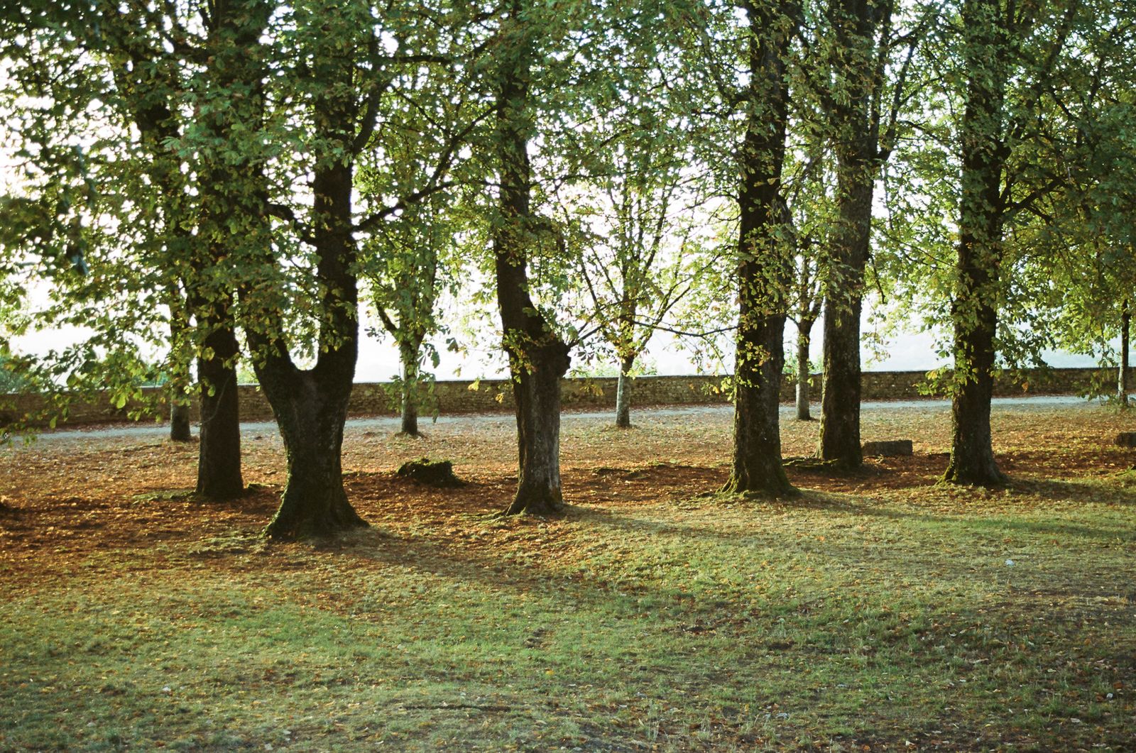 © Francesco Pennacchio - Image from the Where Are You Now? photography project