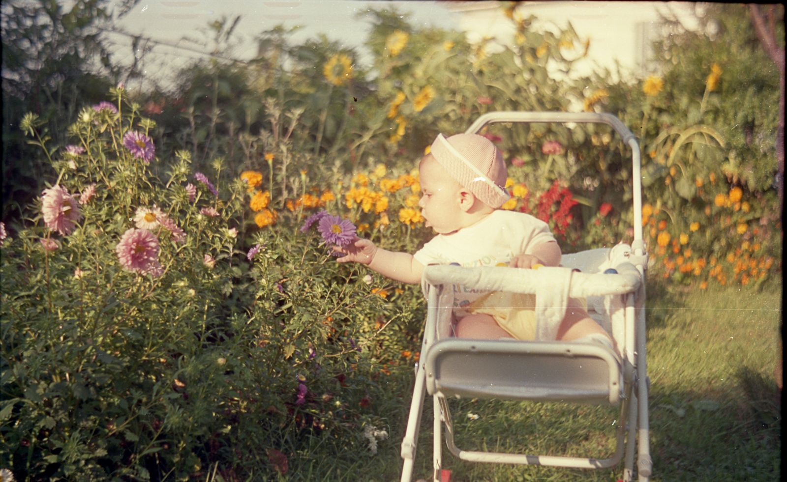 © Francesco Pennacchio - Image from the Unlike Flowers photography project