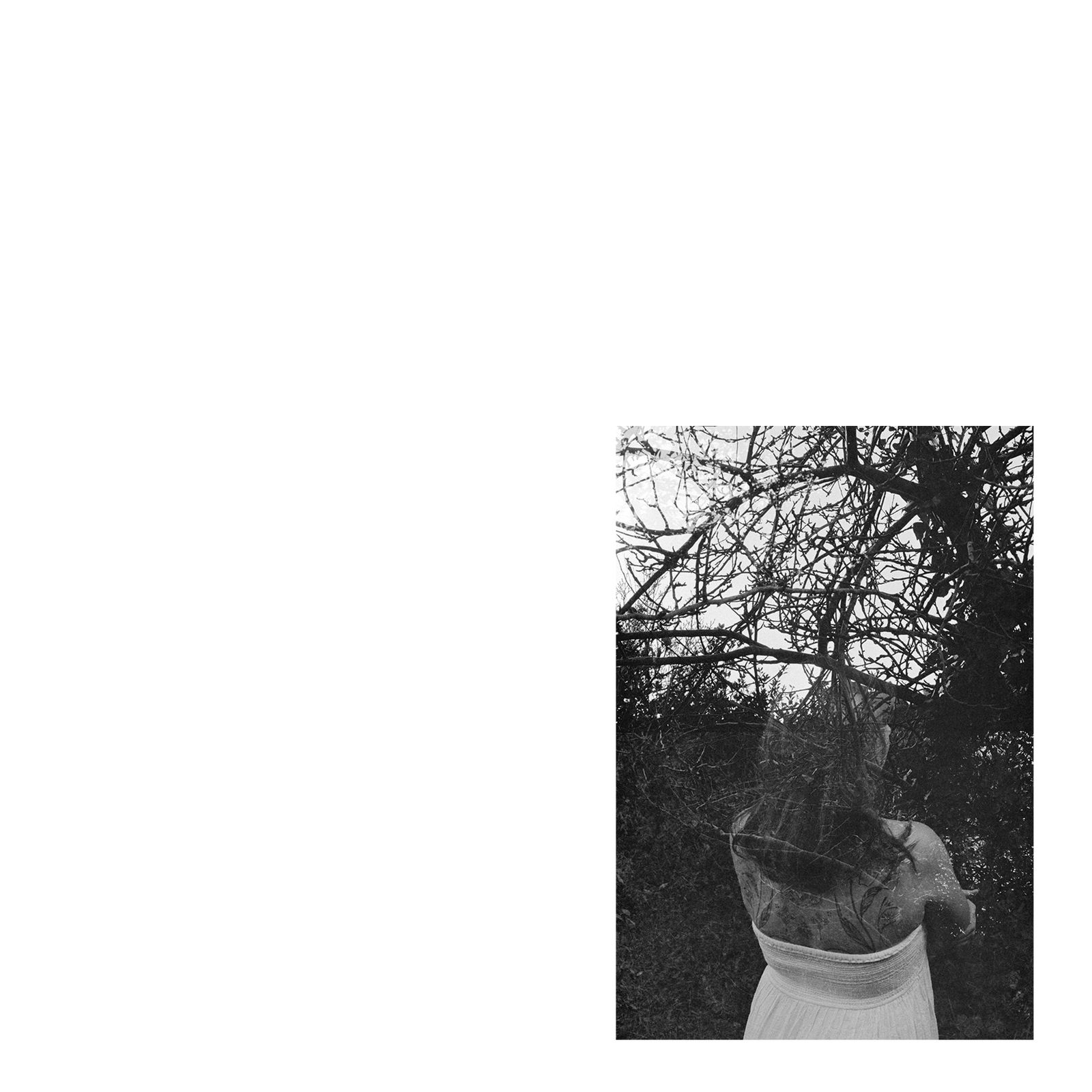 © Tyler Ashford - Image from the Dyfal donc a dyr y garreg photography project