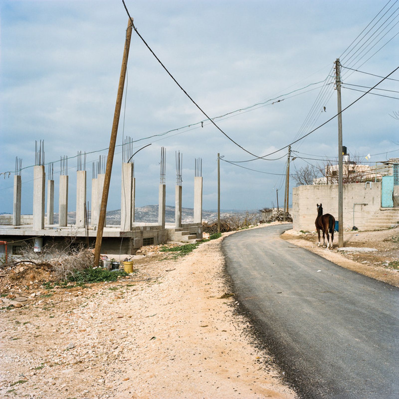 © Federico Busonero - A horse tied to a utility pole stands by the road to Iskaka, Palestine.