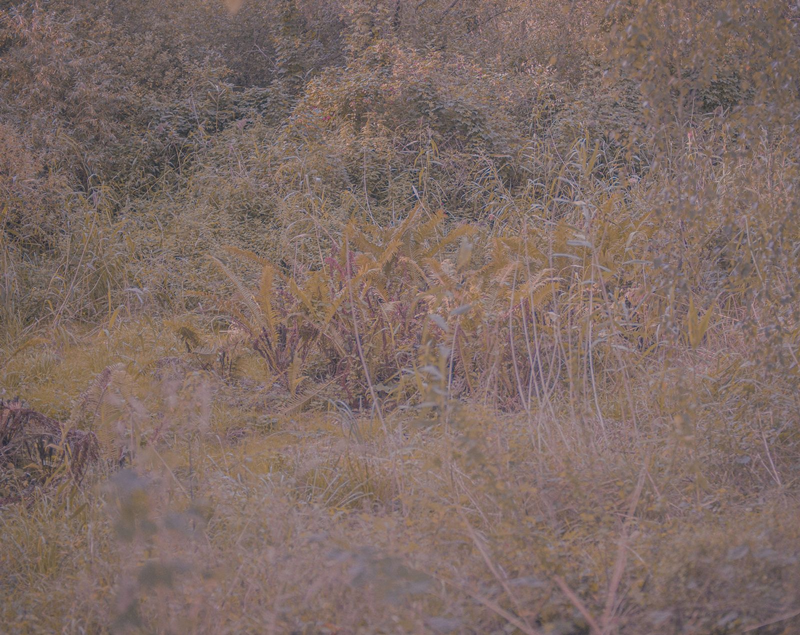 © Maria Louceiro - Image from the Hohenschönhausen photography project