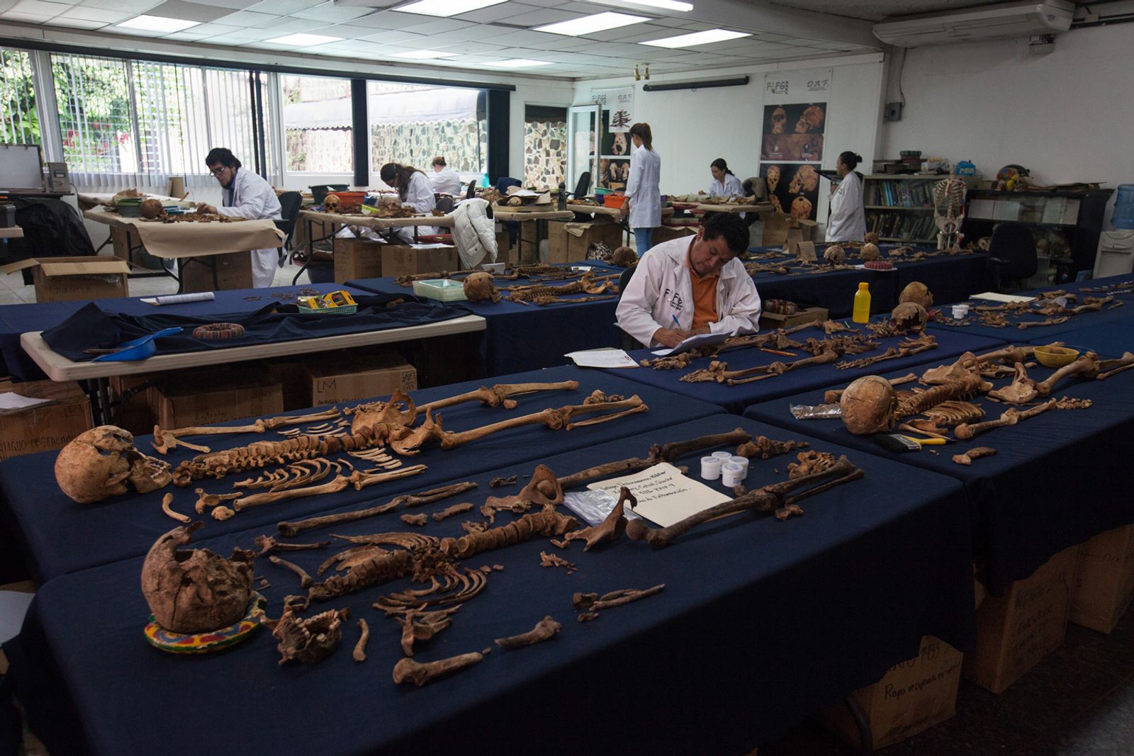 © James Rodriguez - Forensics Lab. Guatemala City, 2015.