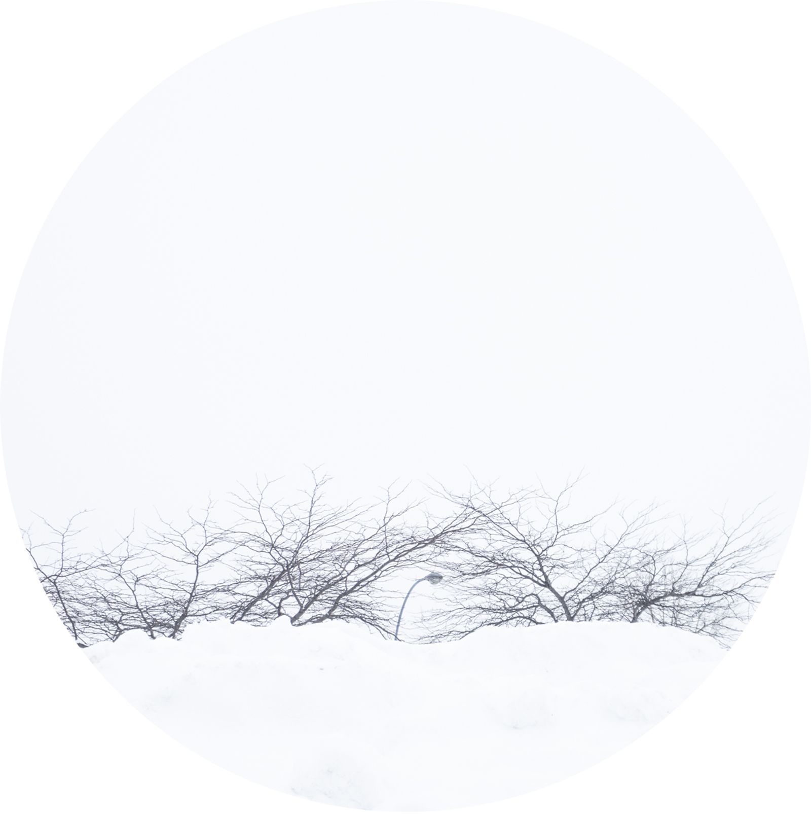 © sebastien michaud - Image from the Supermarket Landscape photography project