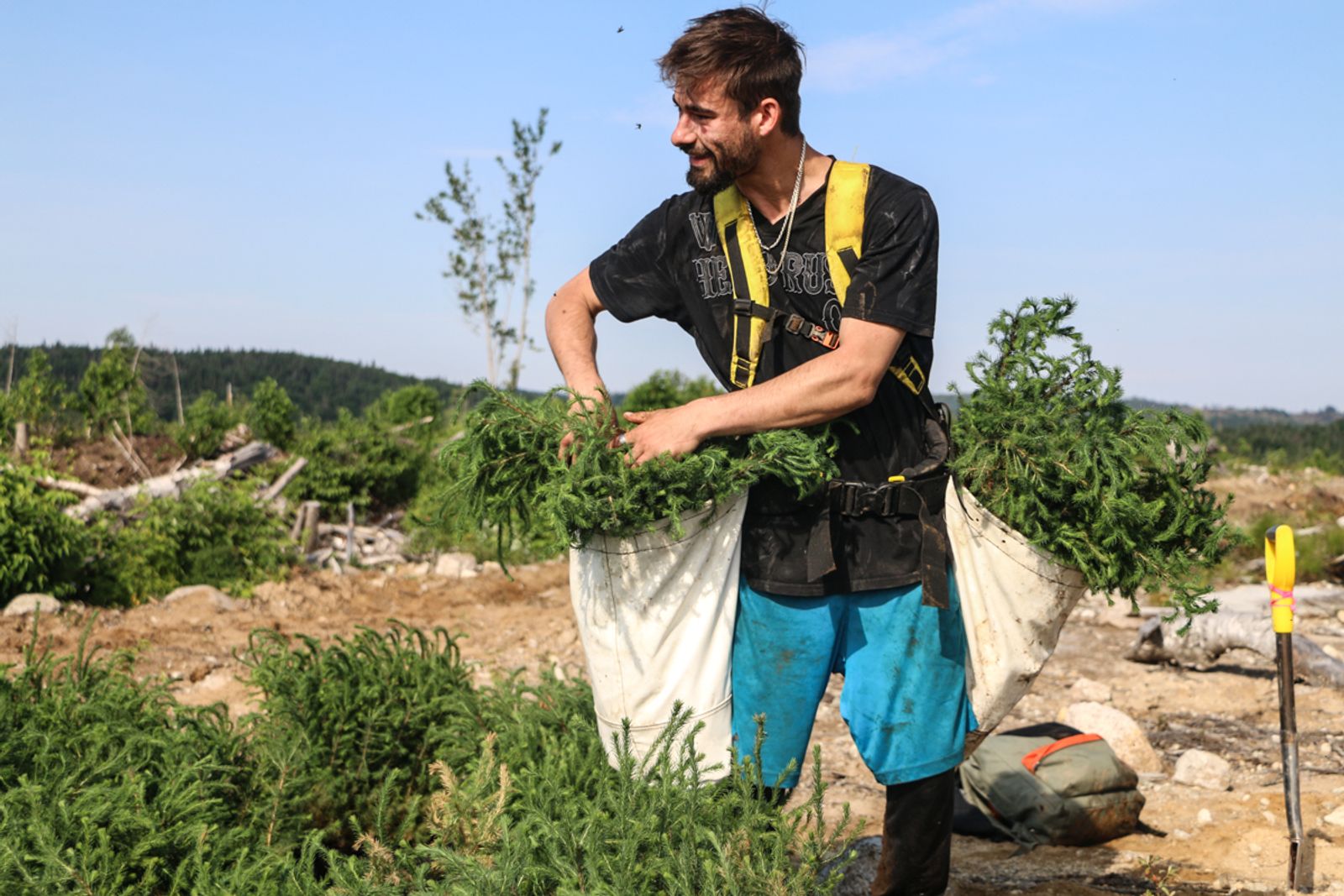 © sebastien michaud - Image from the Forest Gardeners part 2 photography project