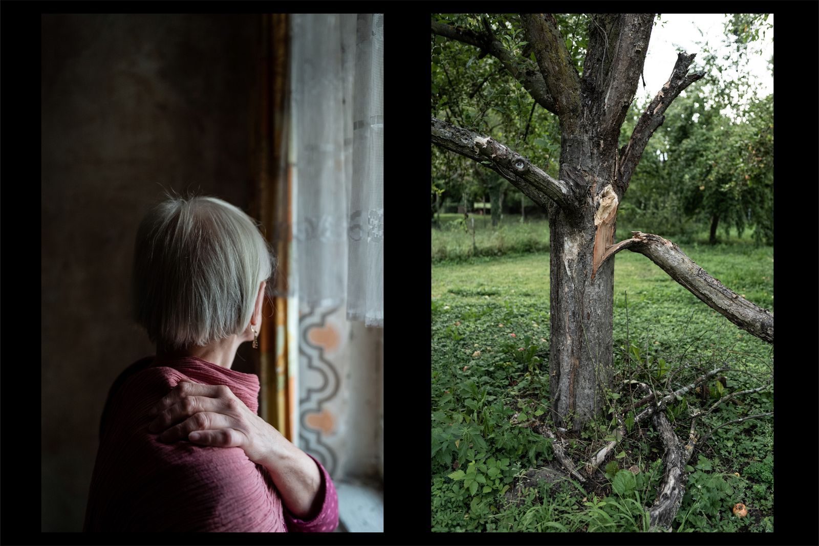 © Anne Ackermann - Diptych of a portrait of my mother and a broken tree in the garden of my parental home. 2020.