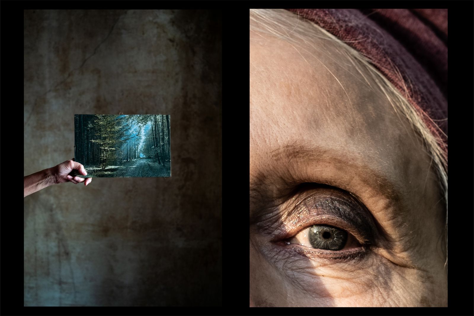 © Anne Ackermann - Diptych of a picture of a forest that decorated my father's room in his youth and my mother's eye. 2020.