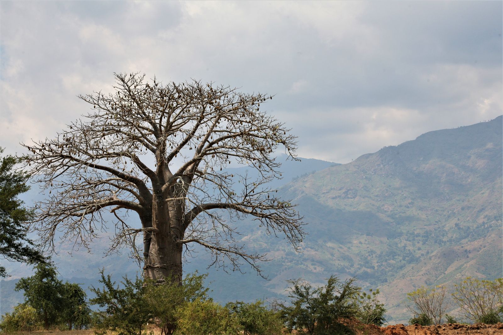 © Ossetrova Eugeniya - Image from the People in nature | Tanzania photography project