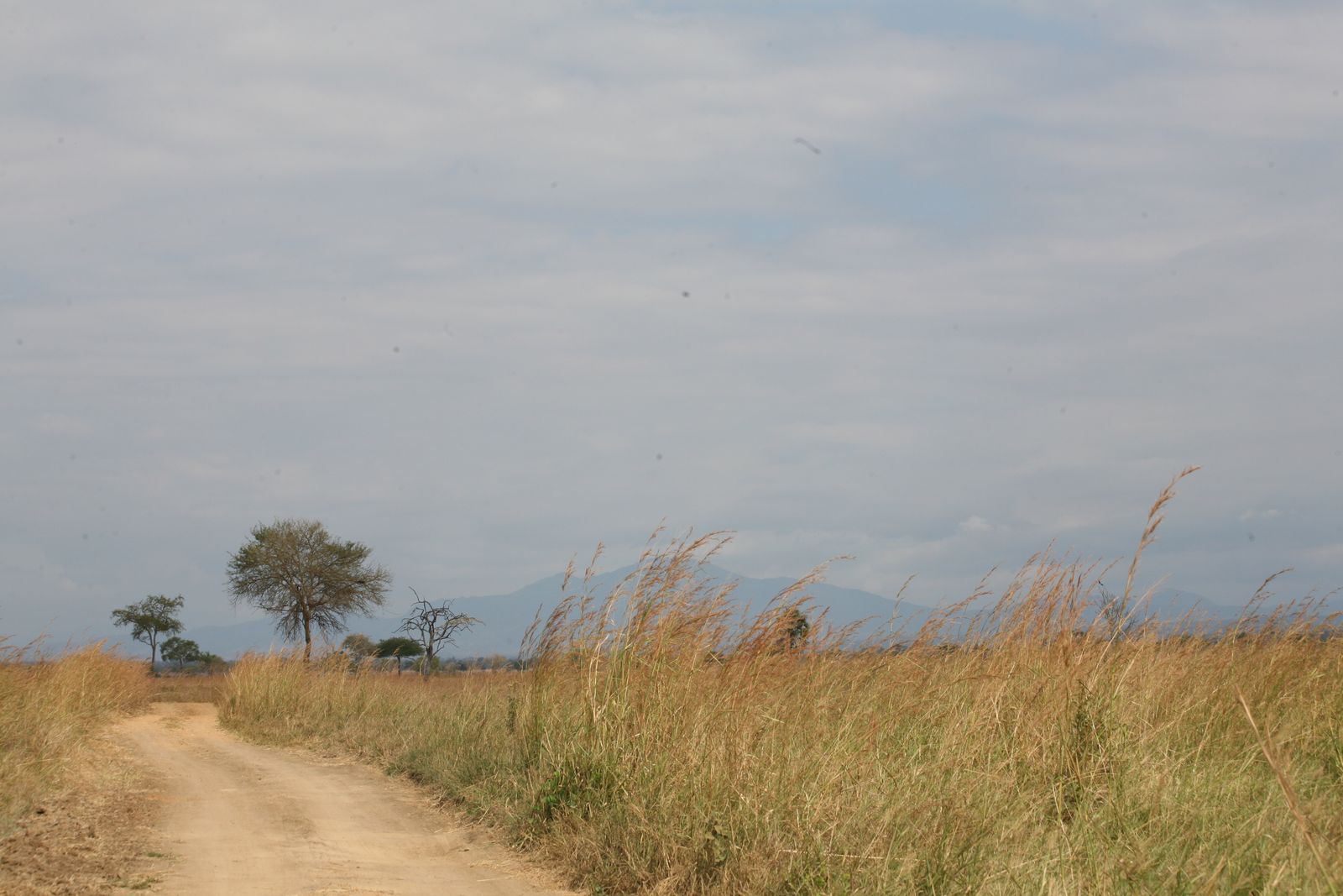 © Ossetrova Eugeniya - Image from the People in nature | Tanzania photography project