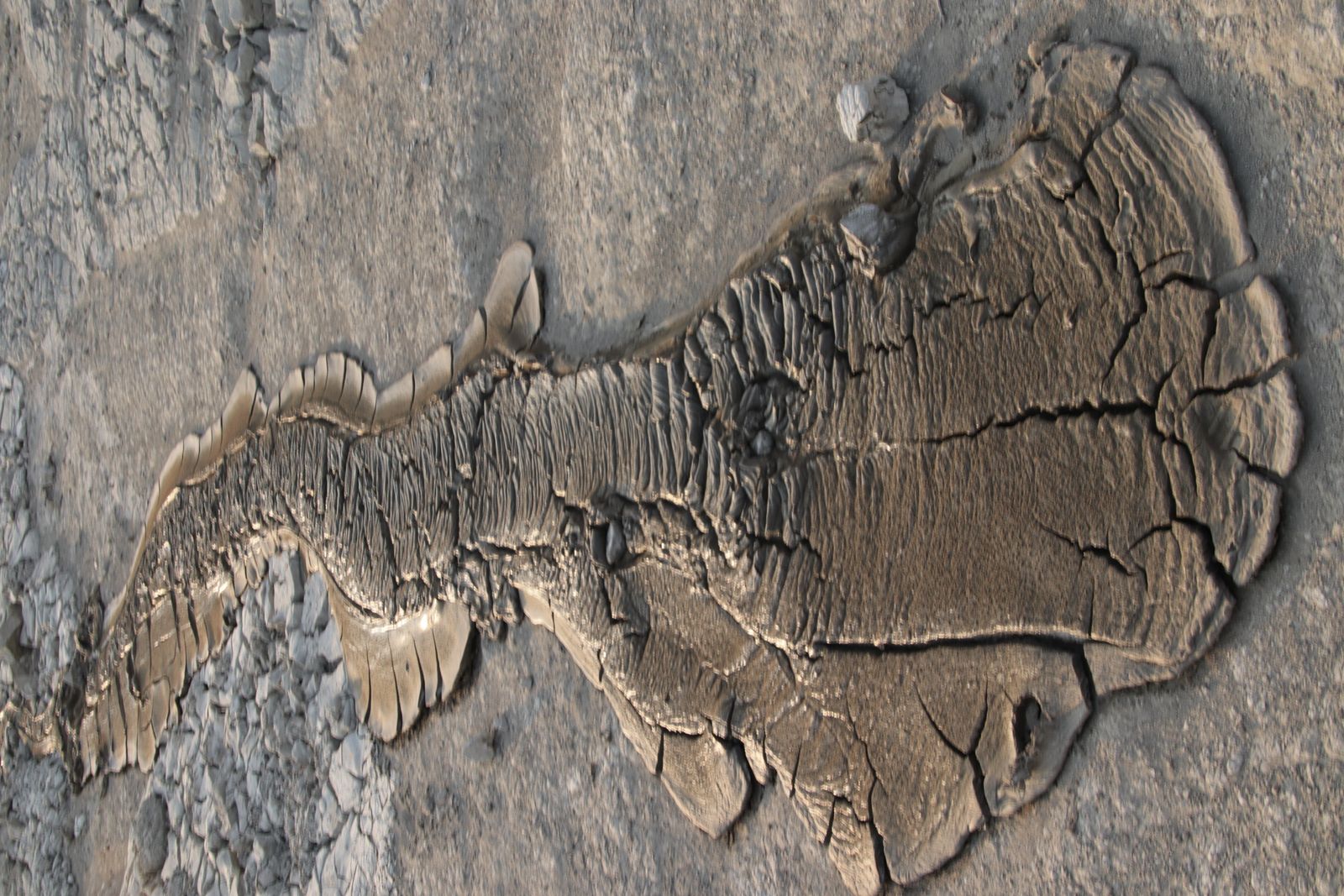 © Ossetrova Eugeniya - Mud volcanoes (Azerbaijan)