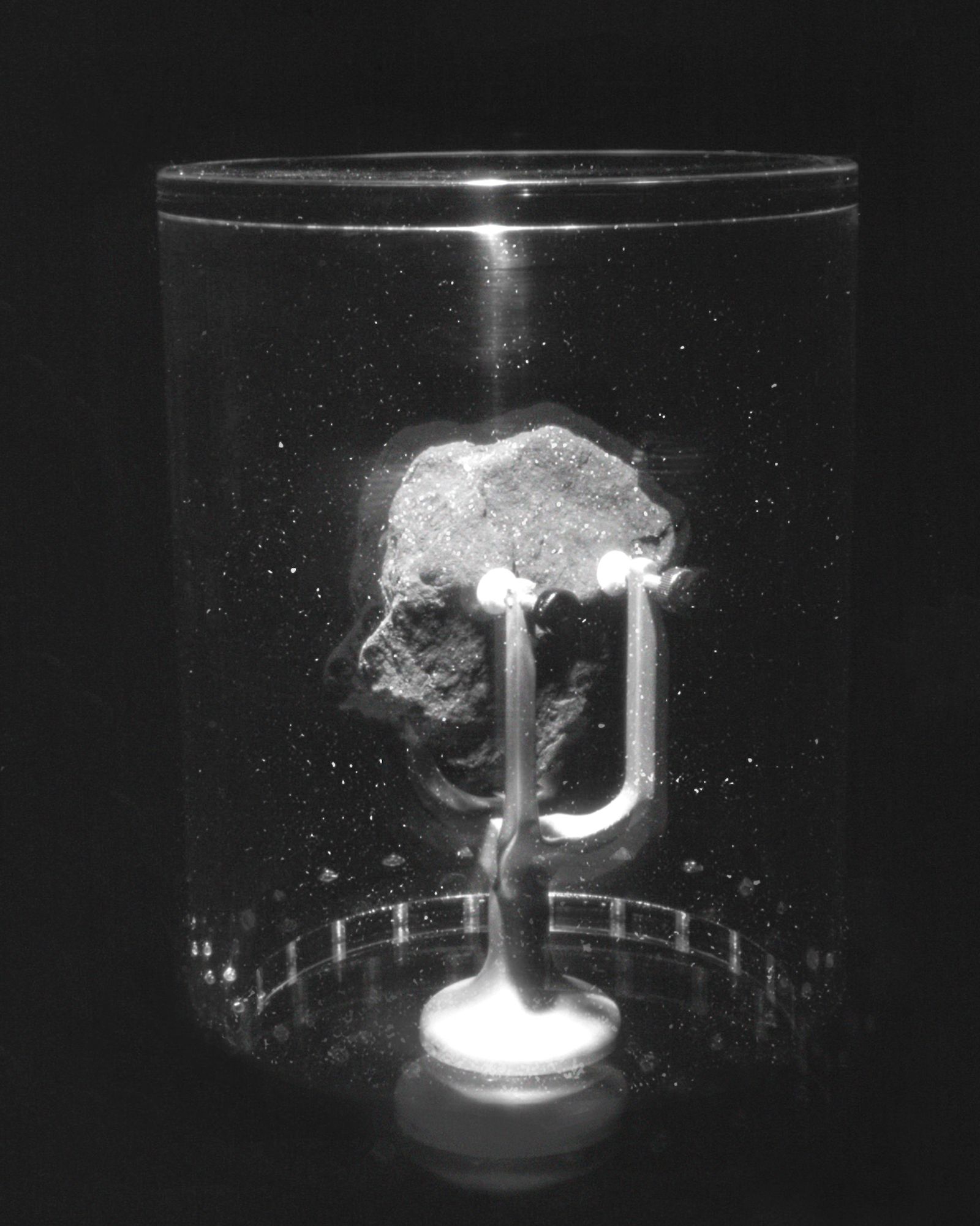 © Emilia Martin - a bell jar, 2023, a digital collage of archival and digital photographs