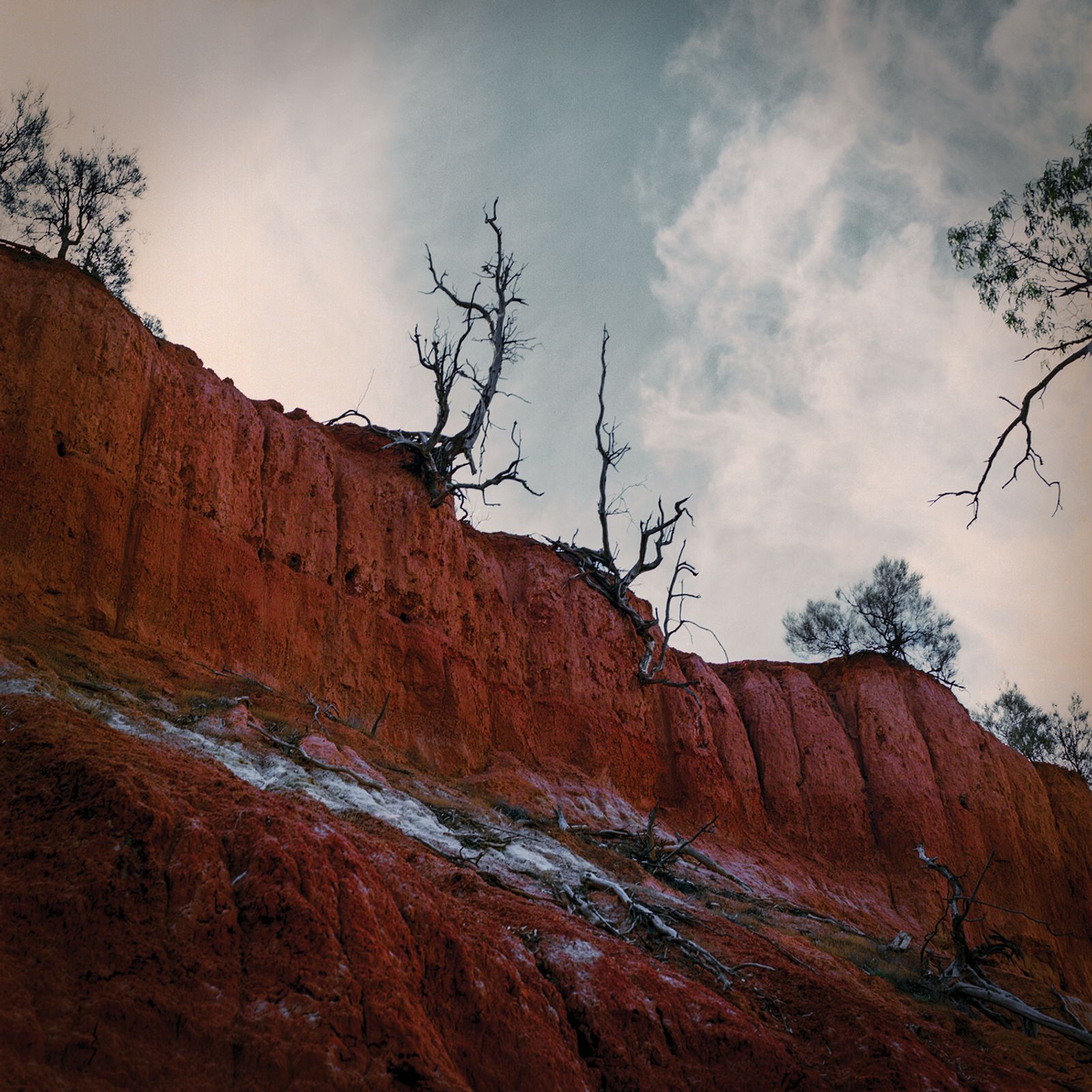 © Erin Lee - Red Cliffs, Victoria. The Traditional Custodians of this area are the First Peoples of Latji Latji and Ngintait.