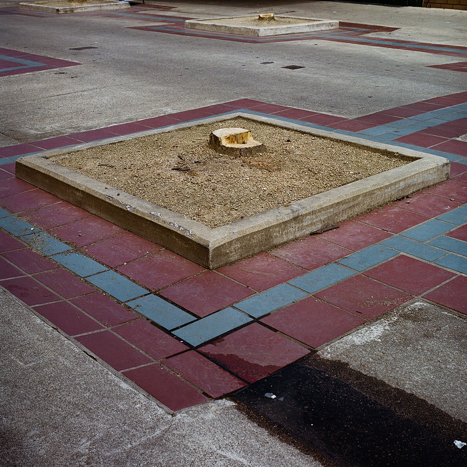 © Erin Lee - Shepparton, Victoria. Prior to British invasion the region was originally inhabited by the Yorta Yorta People.