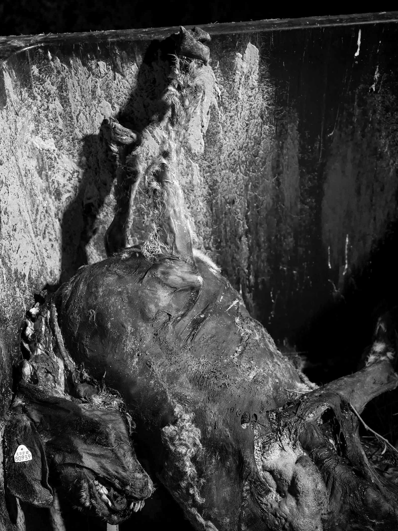 © Matthias Jung - Image from the the valley photography project