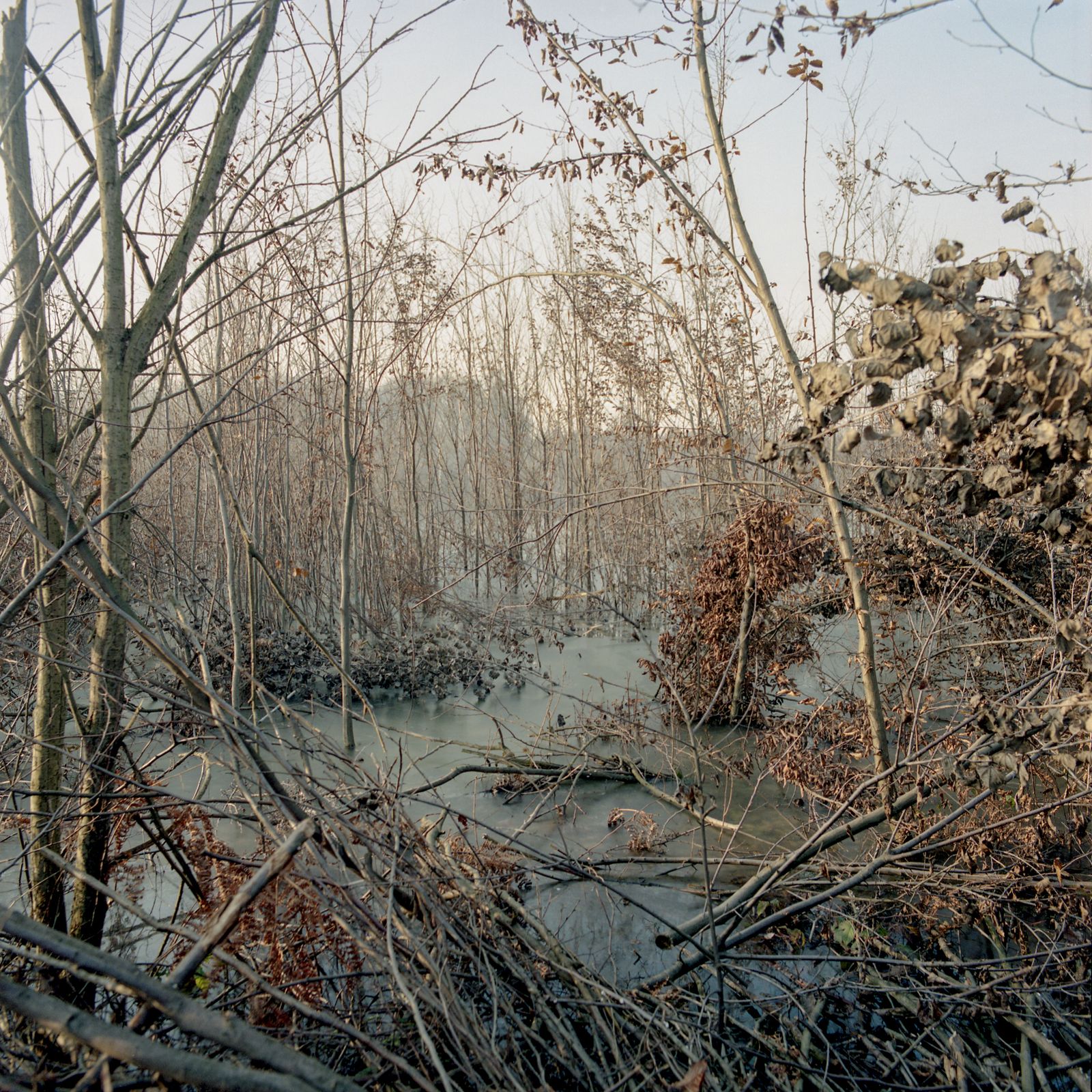 © Thomas Morsch Magnus Terhorst - Polluted lake near Bukinje