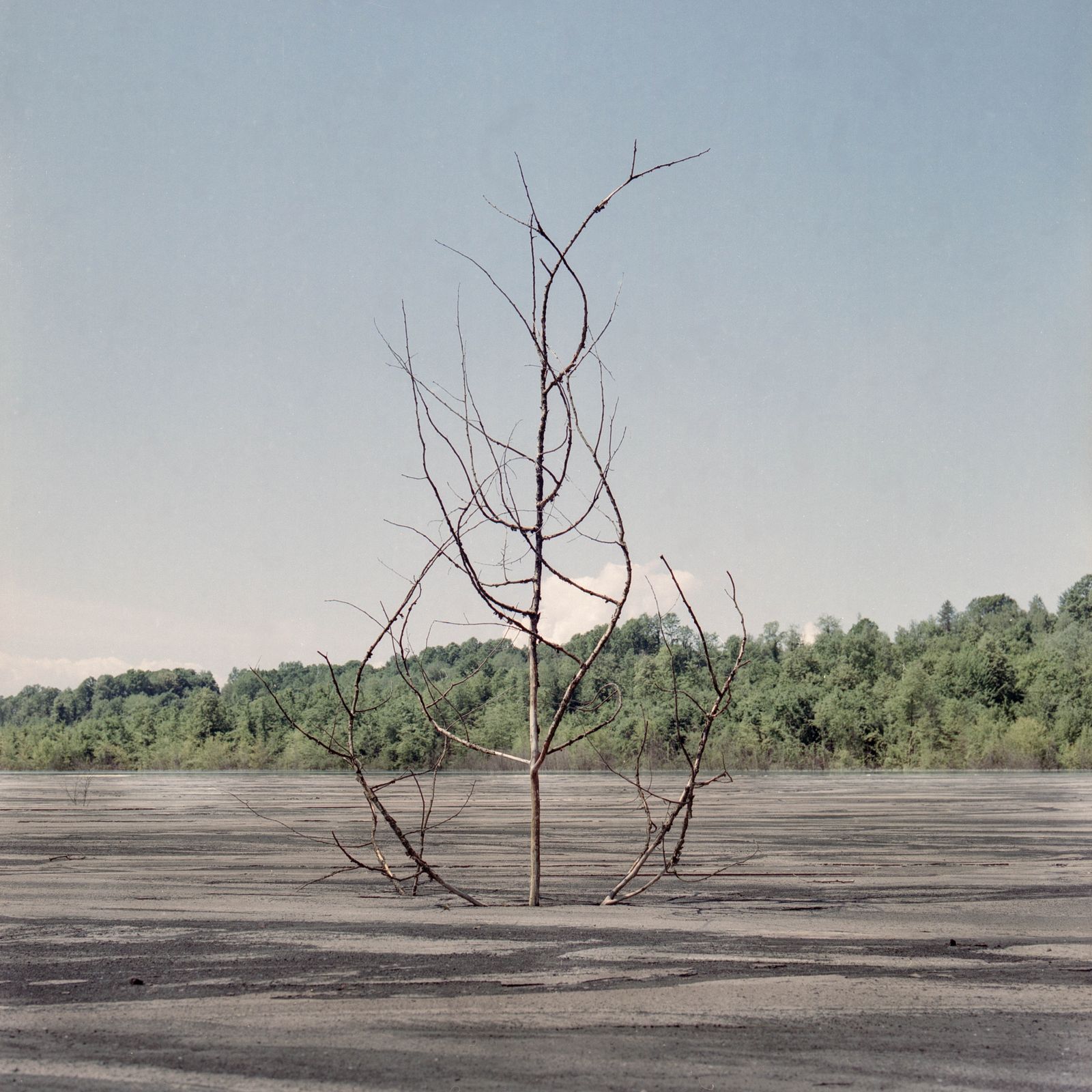 © Thomas Morsch Magnus Terhorst - Dryed ash-lake next to Bukinje