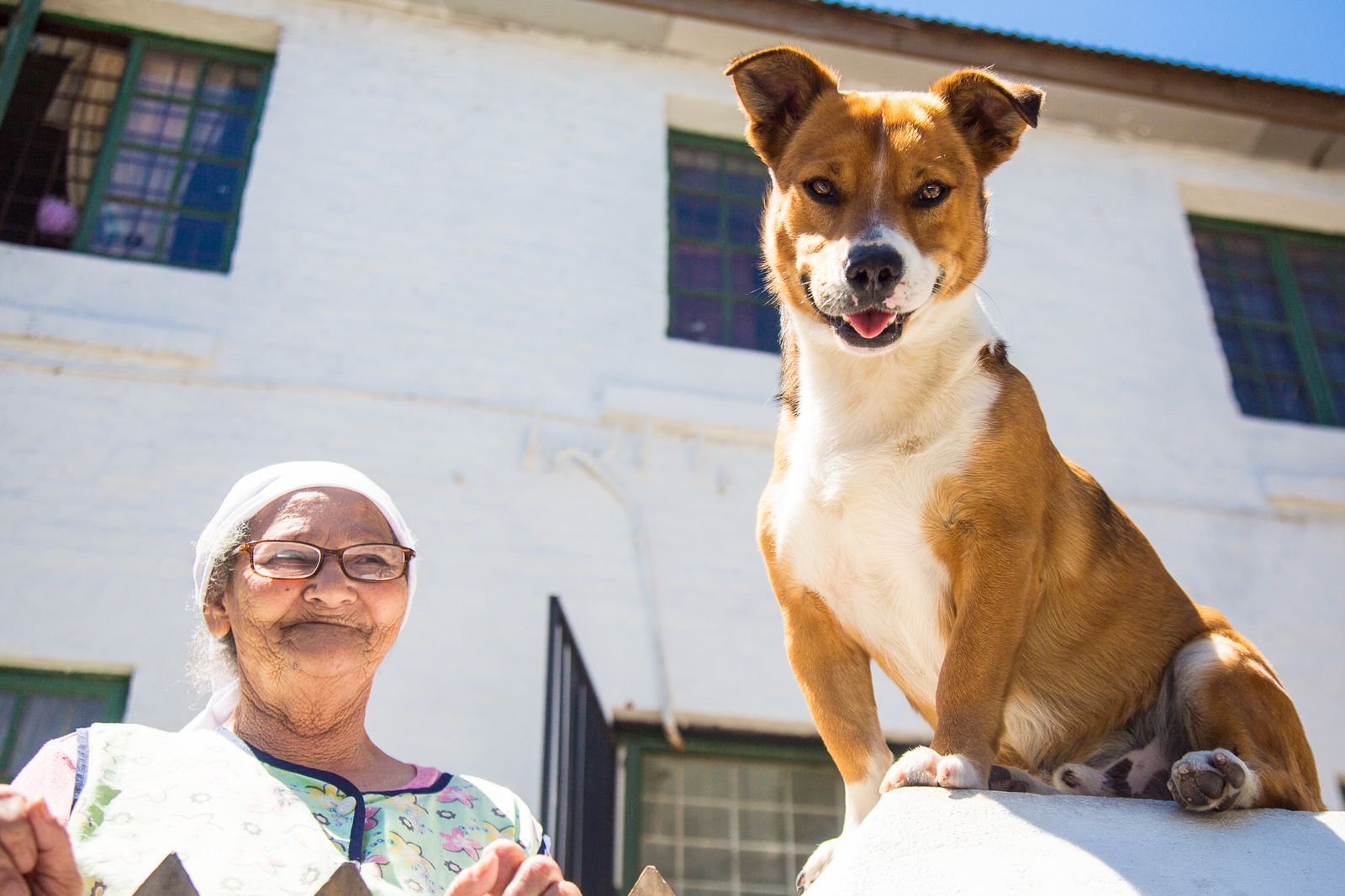 © Marzahn Botha - Image from the The Homeless of Cape Town: Angels and gardens to "grow people". photography project