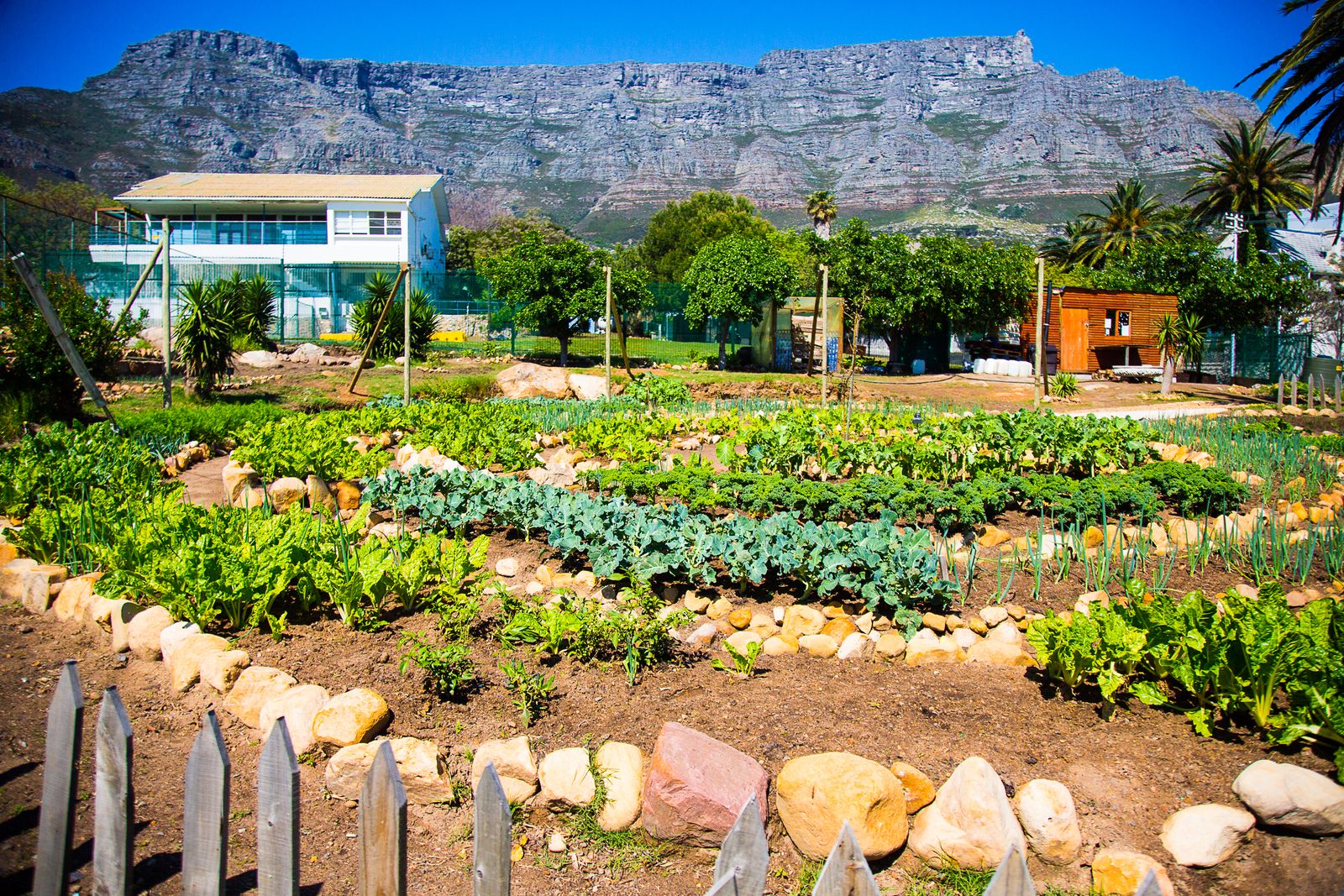 © Marzahn Botha - Image from the The Homeless of Cape Town: Angels and gardens to "grow people". photography project