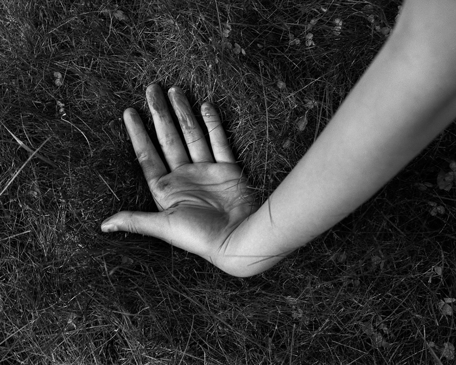 © Jillian Freyer - Stained and pickled, summer fingers lay in a distorted manner, after picking raspberries along the road.