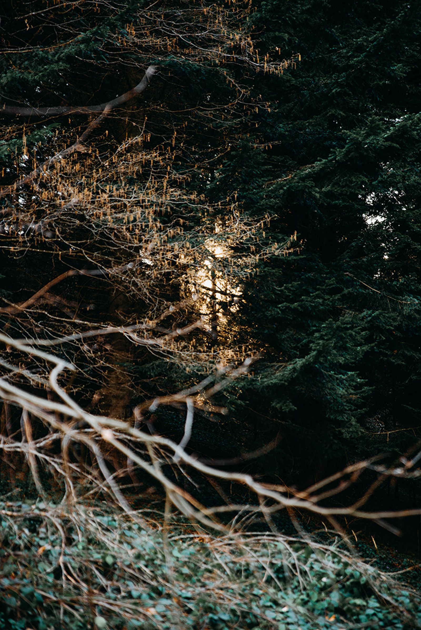 © Jana Plavec - Image from the Under a Rocketless Sky photography project