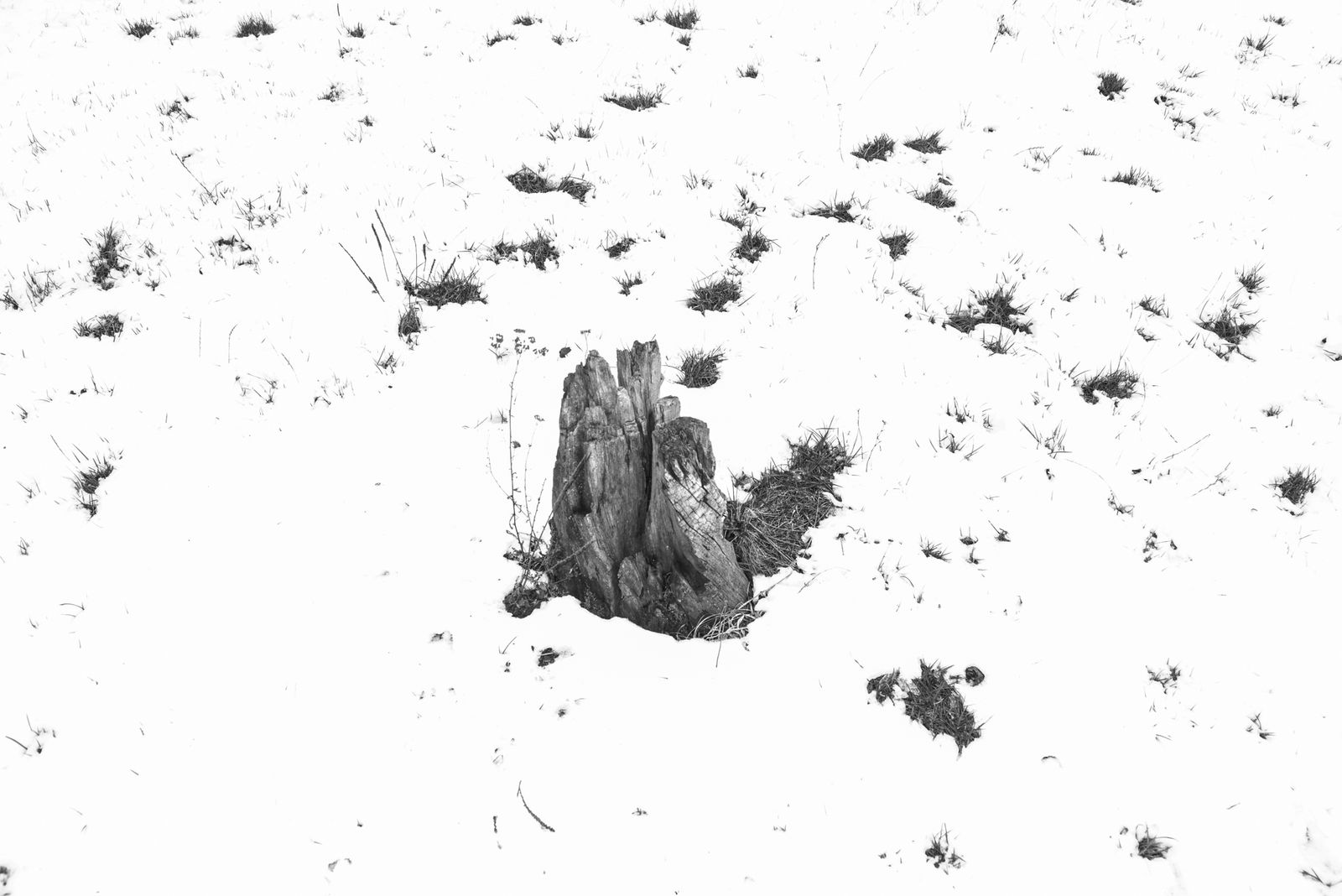 © Jana Plavec - Image from the Daymare photography project